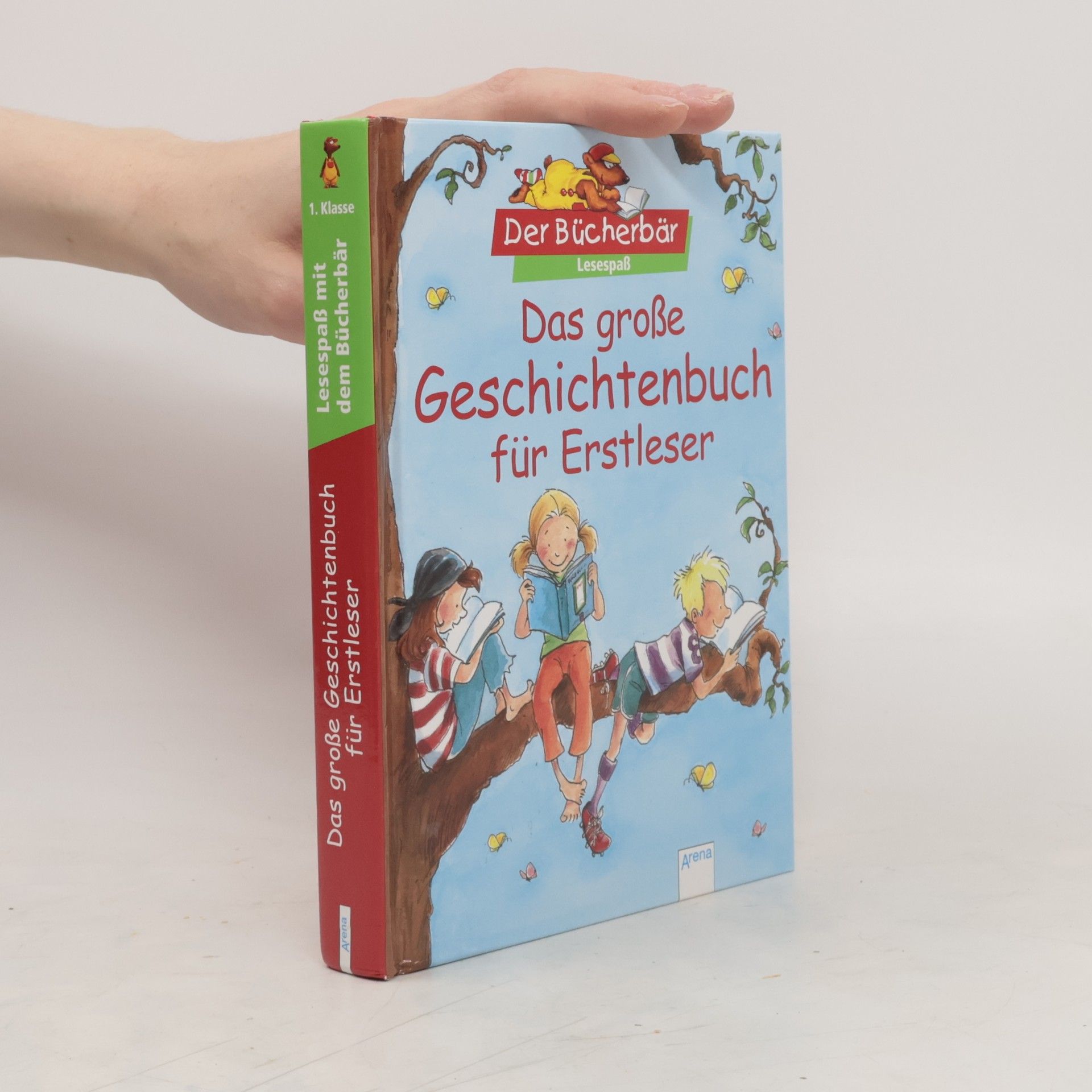 Autorenkollektiv Das große Geschichtenbuch für Erstleser