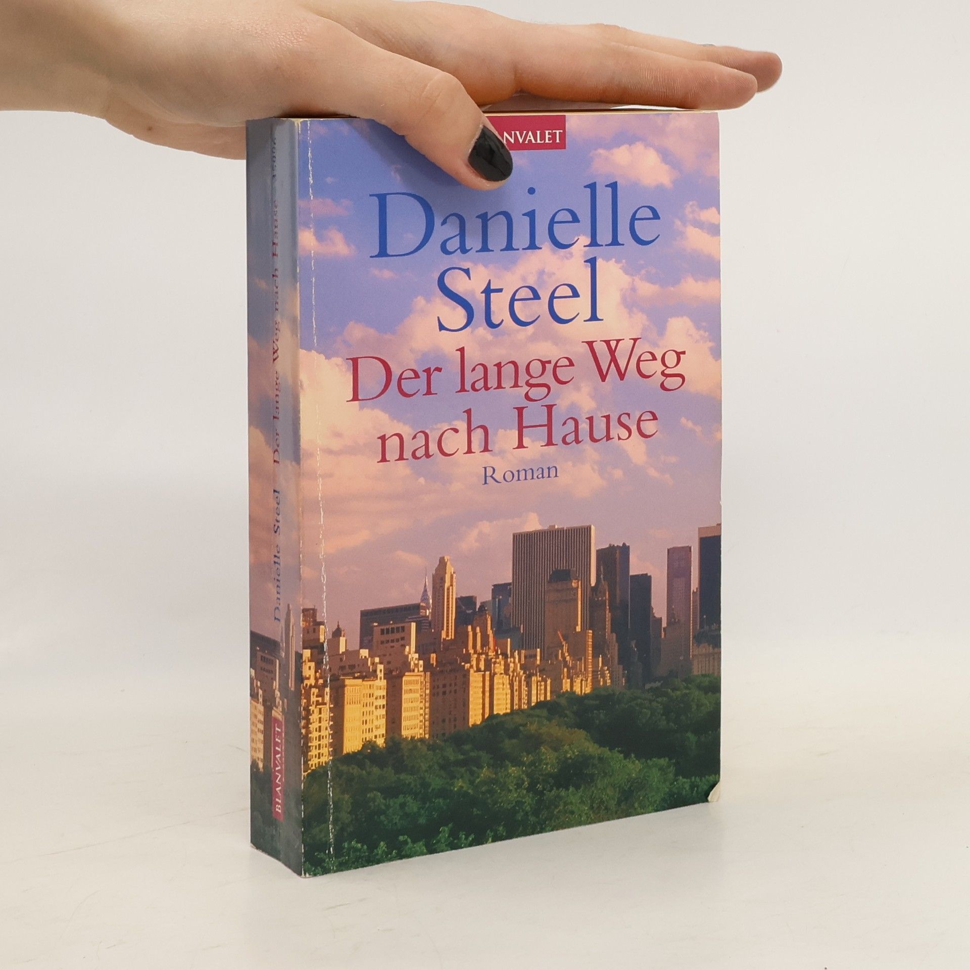 Danielle Steel Der lange Weg nach Hause