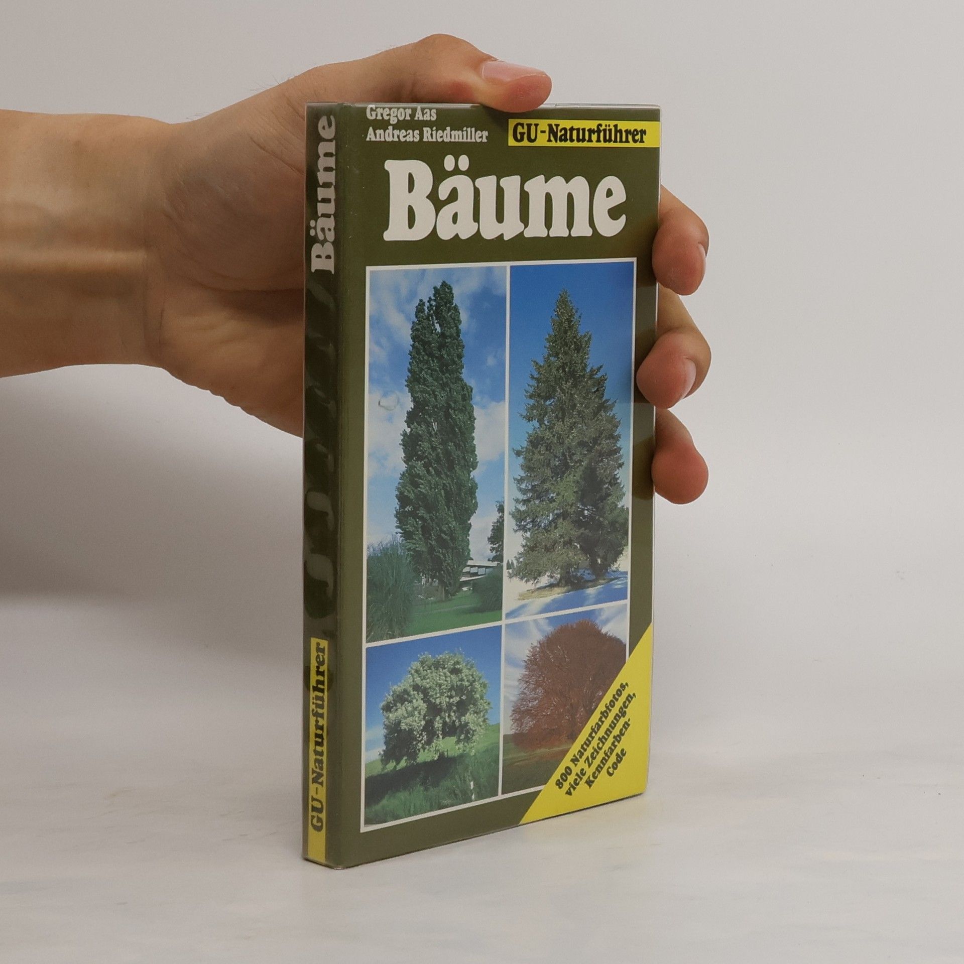 Gregor Aas Bäume