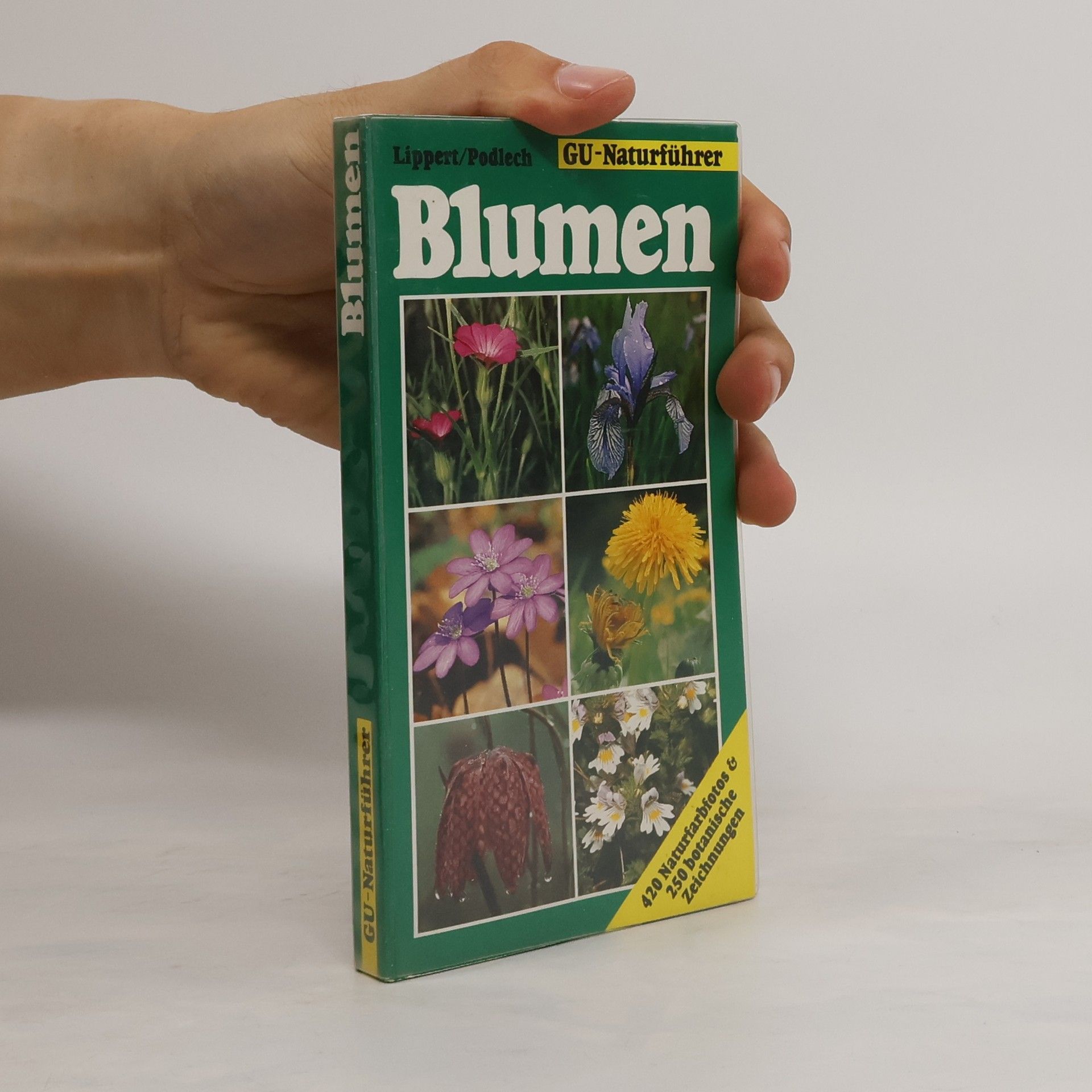 Wolfgang Lippert Blumen. Die wichtigen Blütenpflanzen Mitteleuropas erkennen und bestimmen