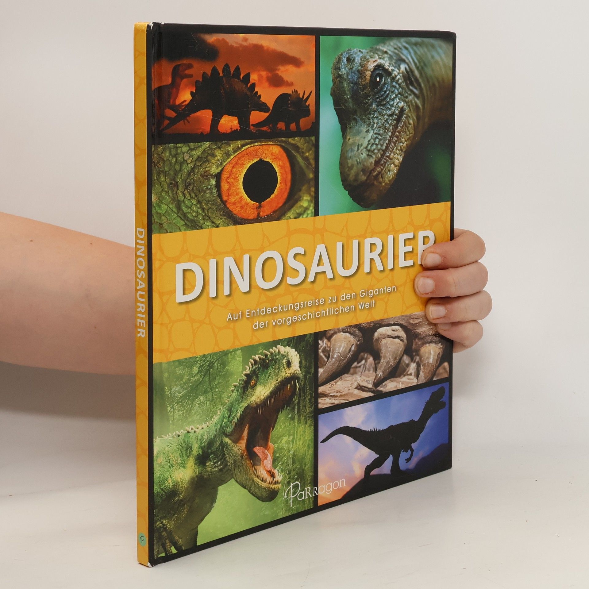 Autorenkollektiv Dinosaurier