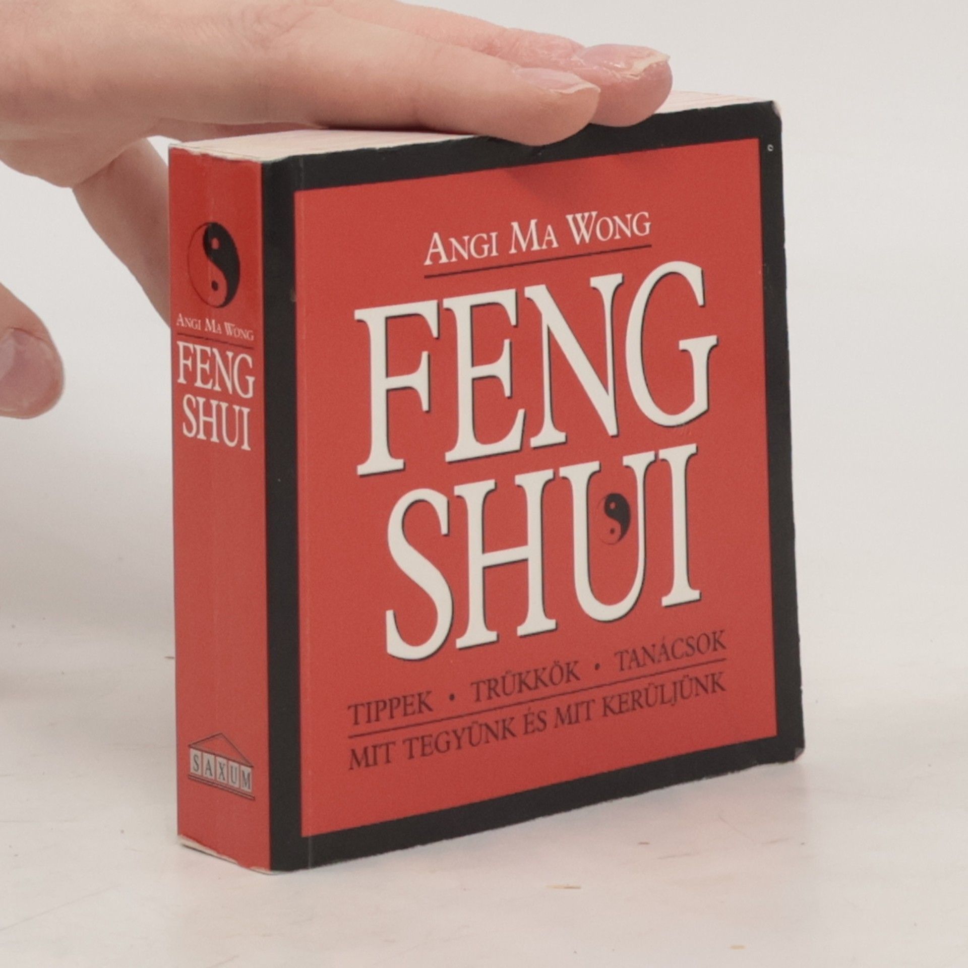 Angi Ma Wong Feng Shui