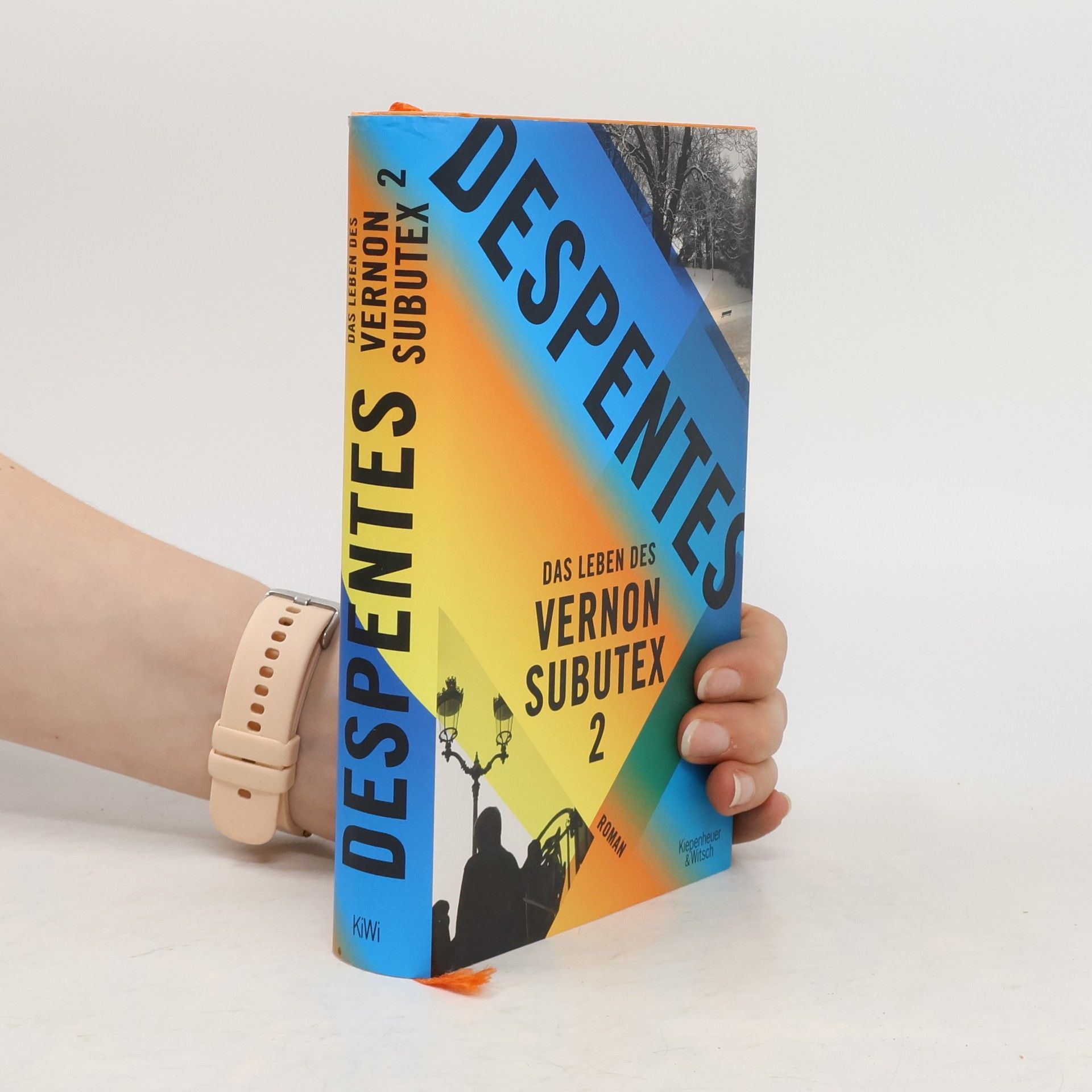 Virginie Despentes Das Leben des Vernon Subutex 2