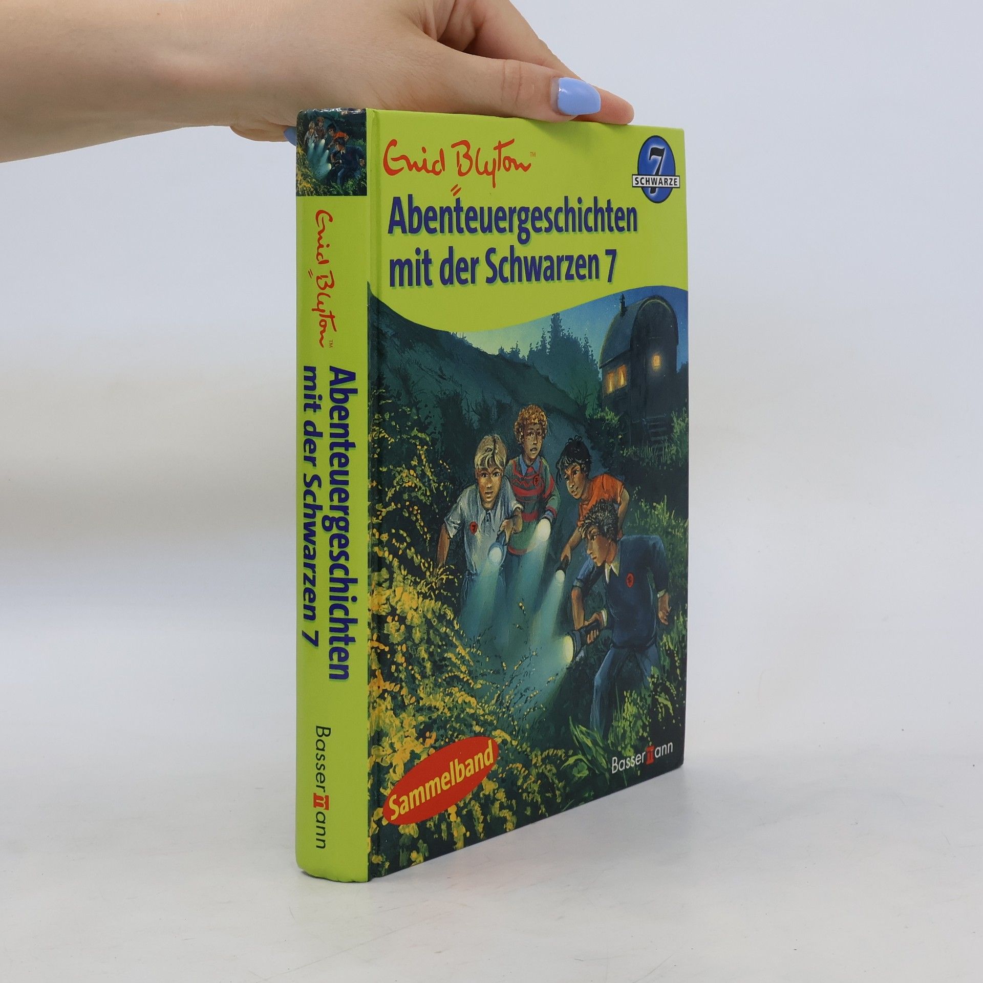 Enid Blyton Abenteuergeschichten mit der Schwarzen 7