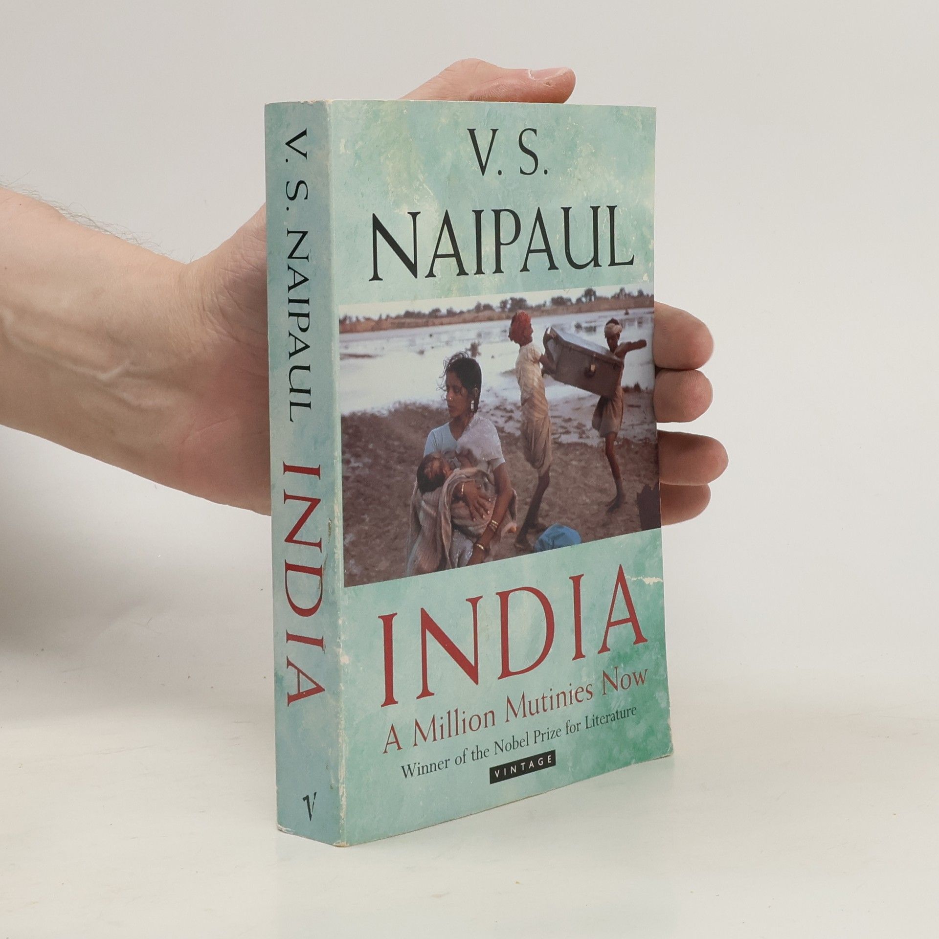 V. S. Naipaul India