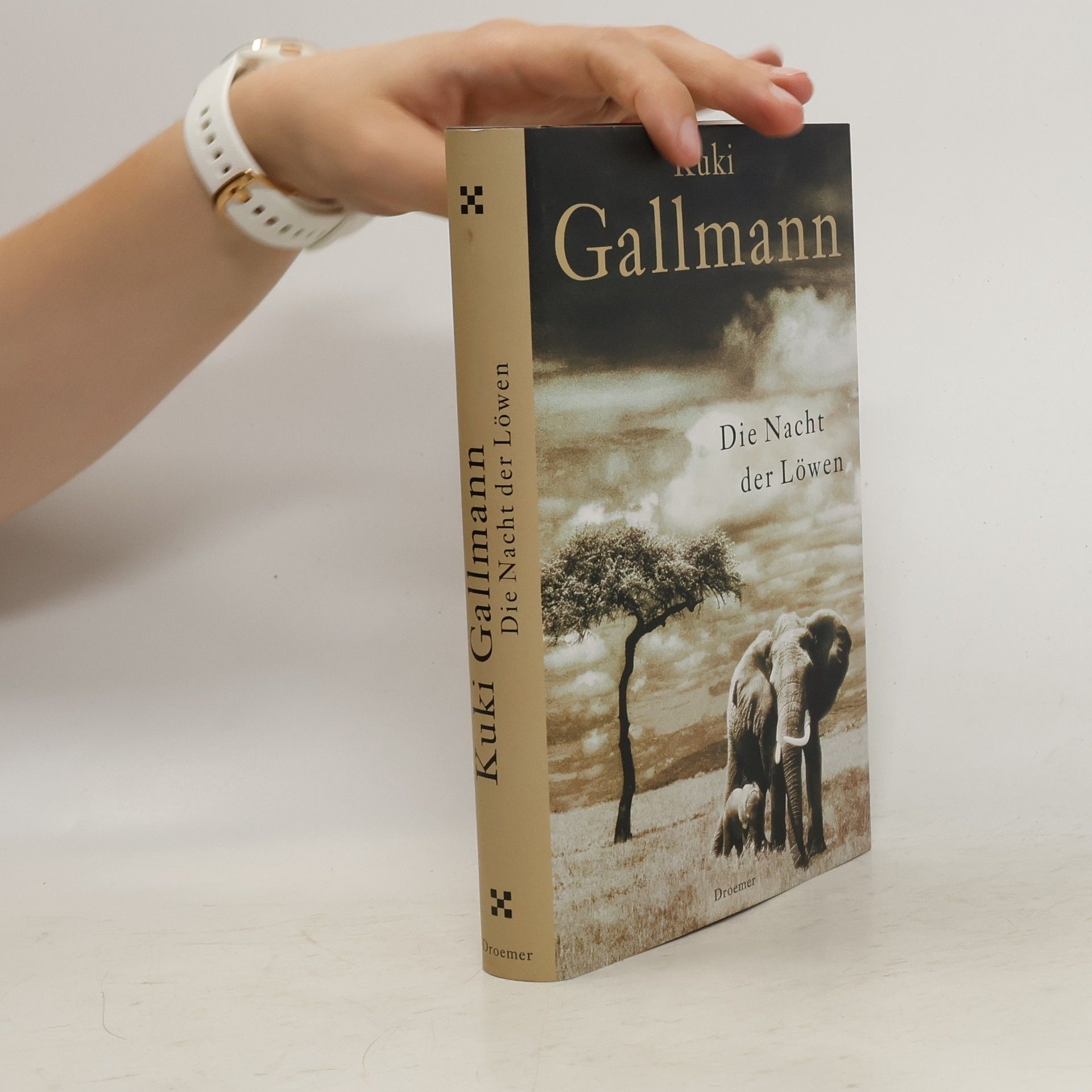 Kuki Gallmann Die Nacht der Löwen