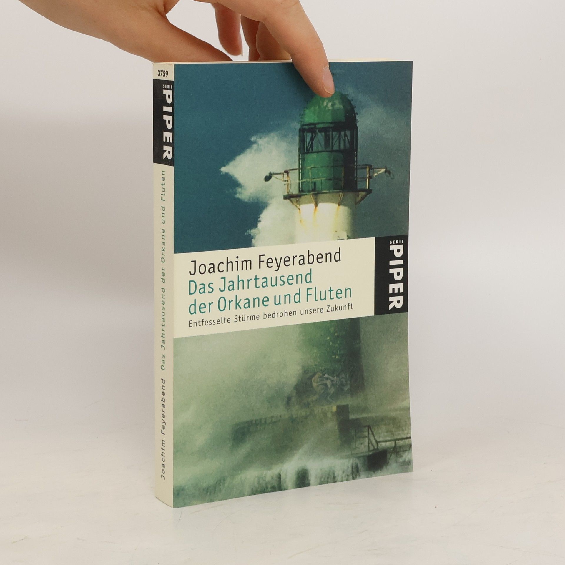 Joachim Feyerabend Das Jahrtausend der Orkane und Fluten