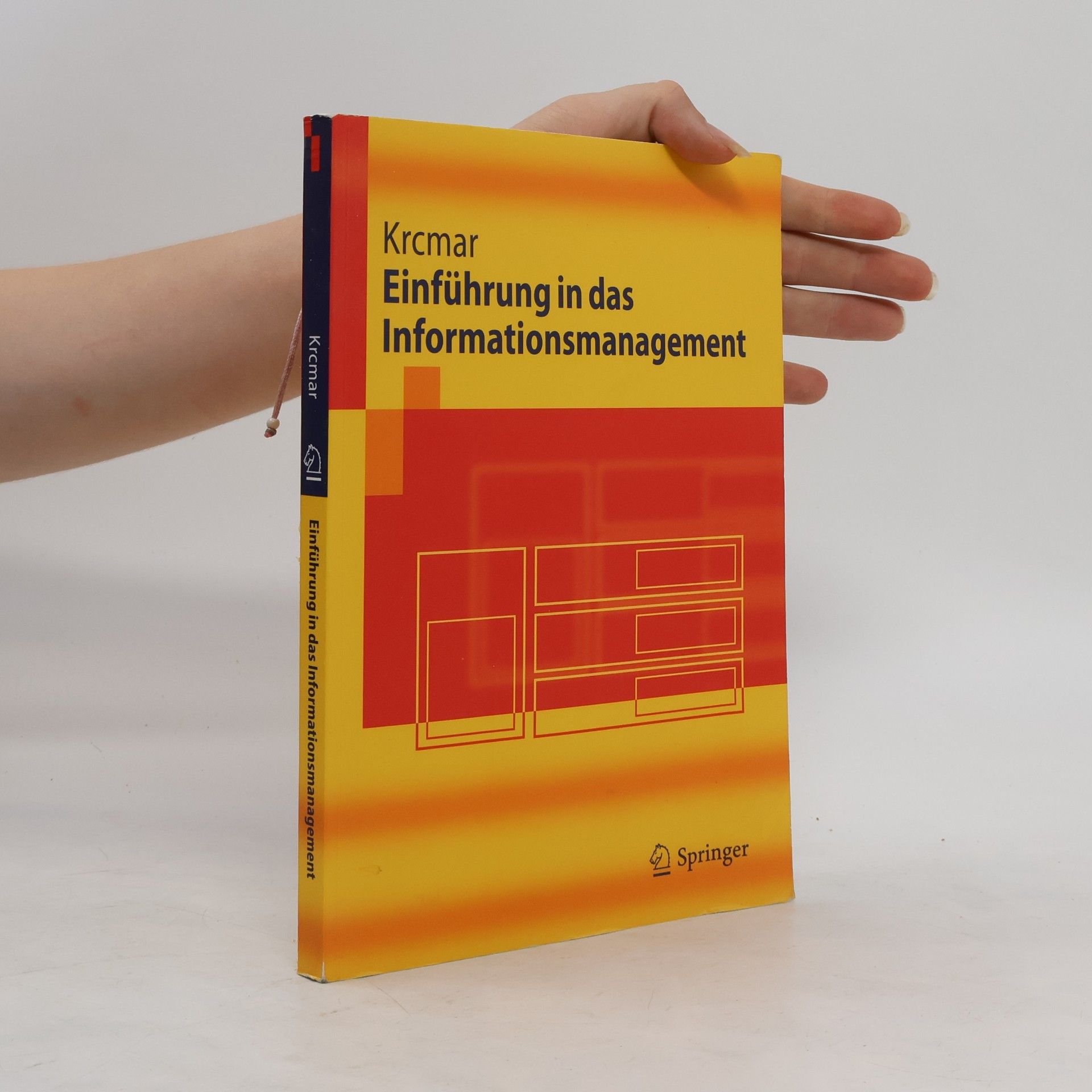 Helmut Krcmar Einführung in das Informationsmanagement