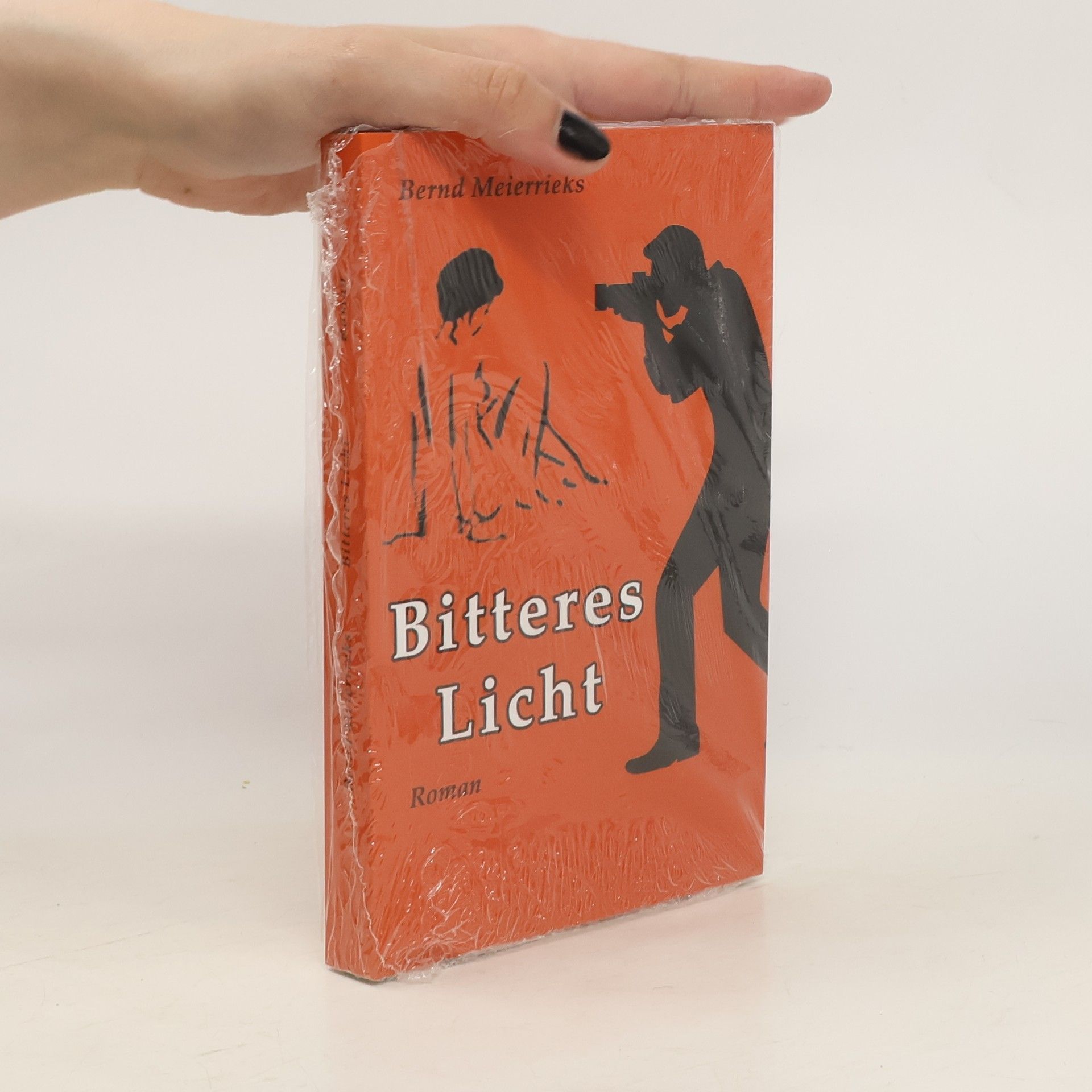 Bernd Meierrieks Bitteres Licht