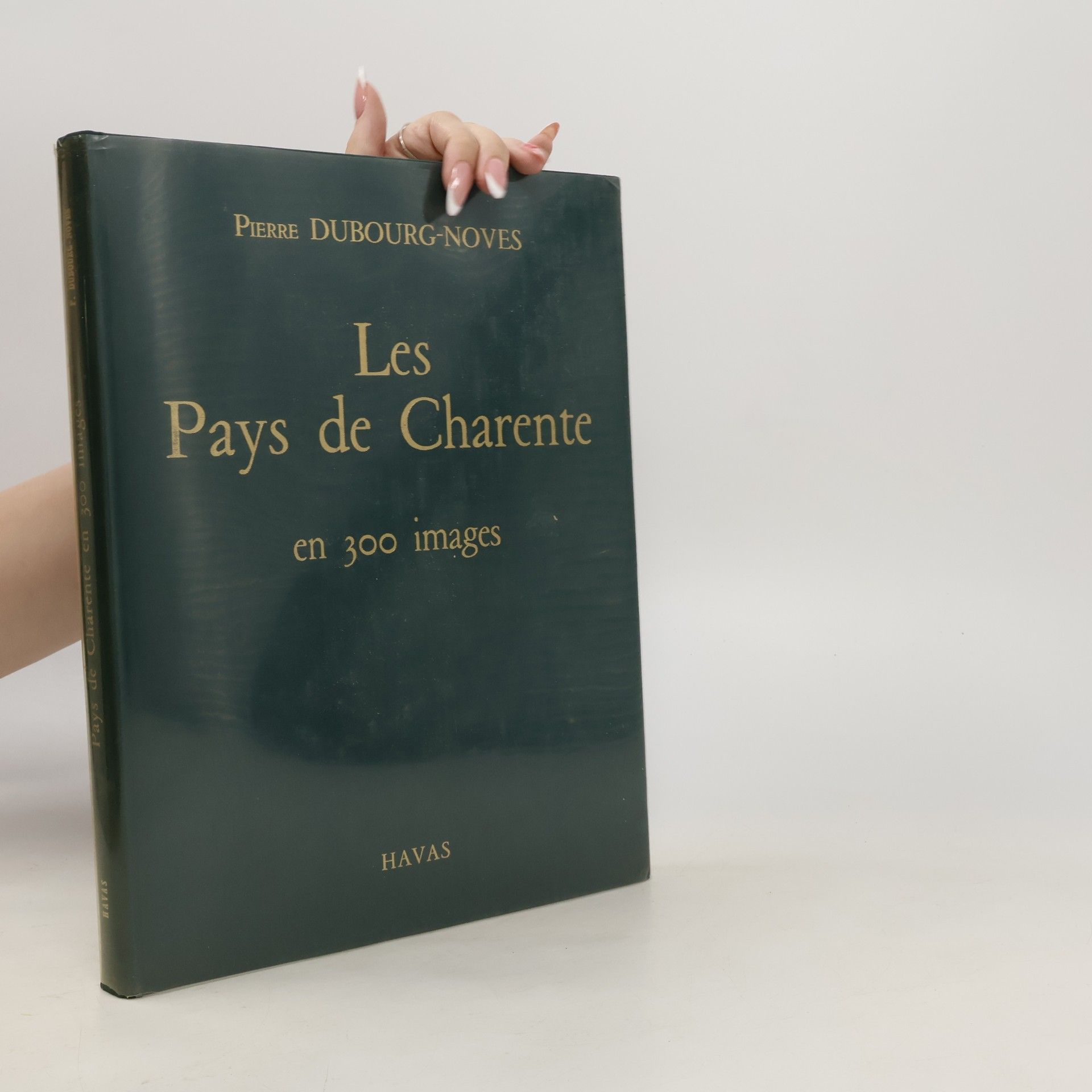 Pierre Dubourg-Noves Les pays de Charente en 300 images