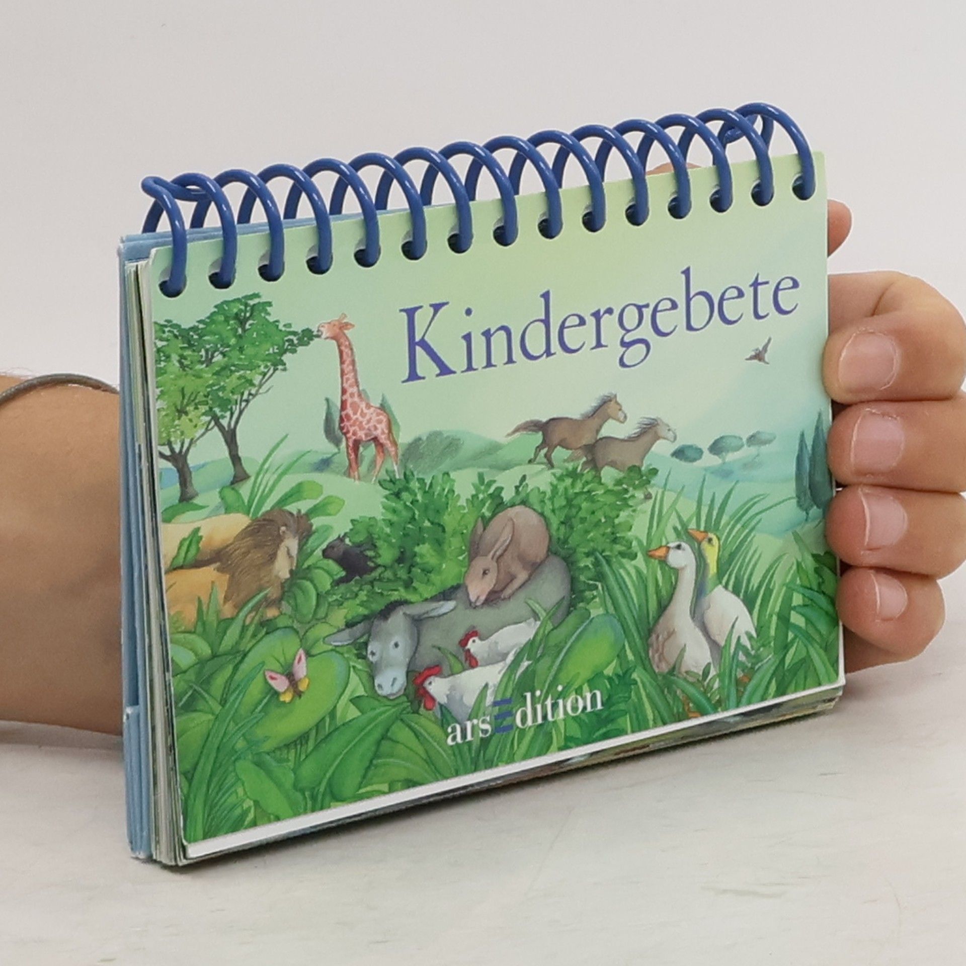 Renate Seelig Kindergebete