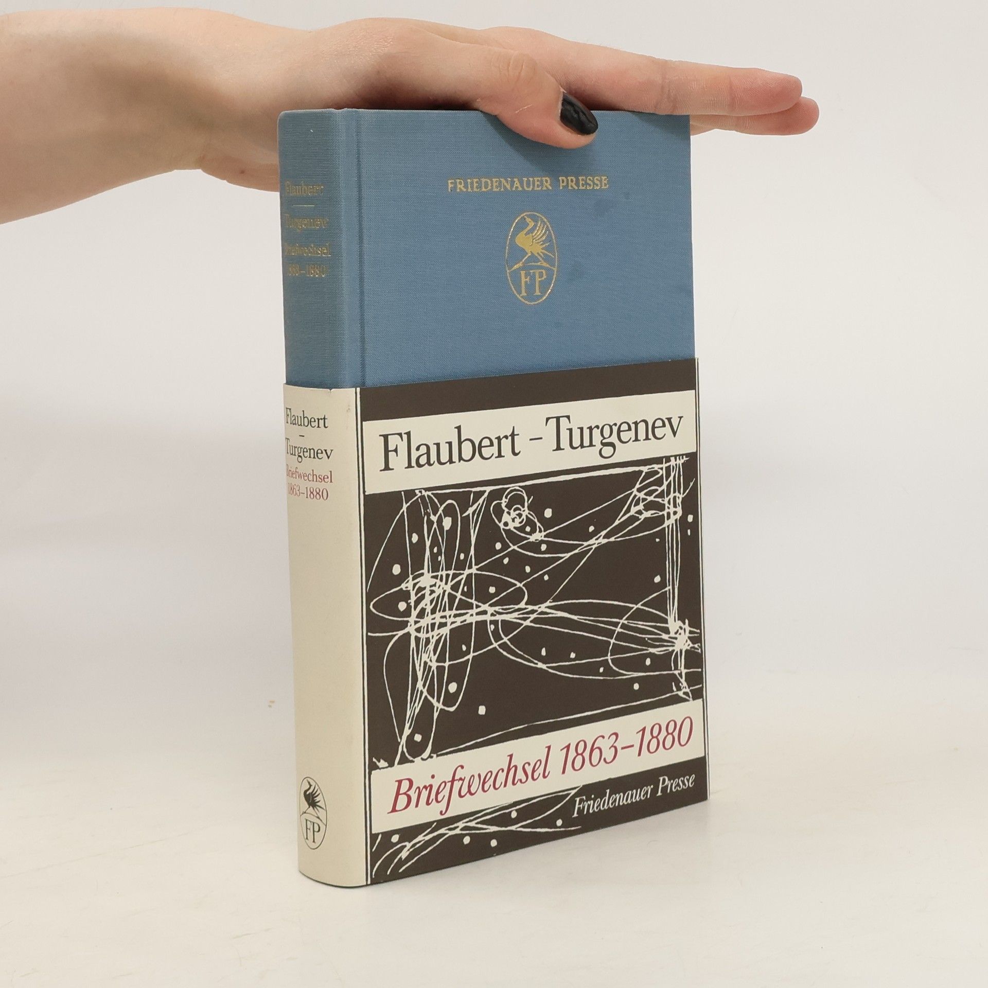 Gustave Flaubert Briefwechsel