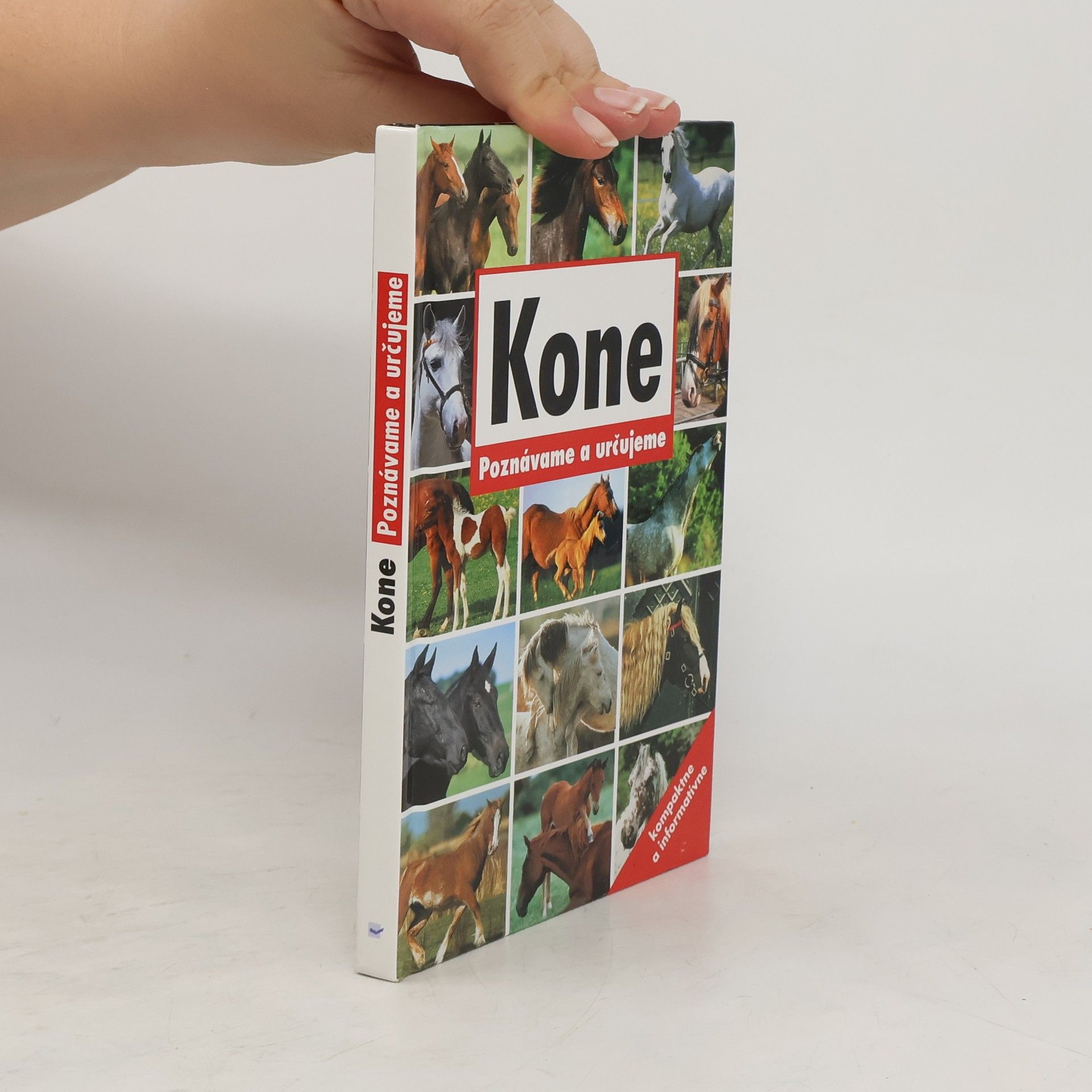 kolektiv Kone