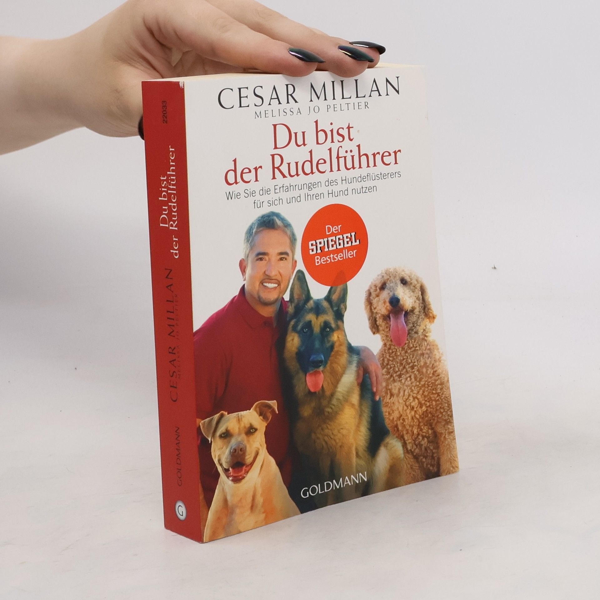 Cesar Millan Du bist der Rudelführer
