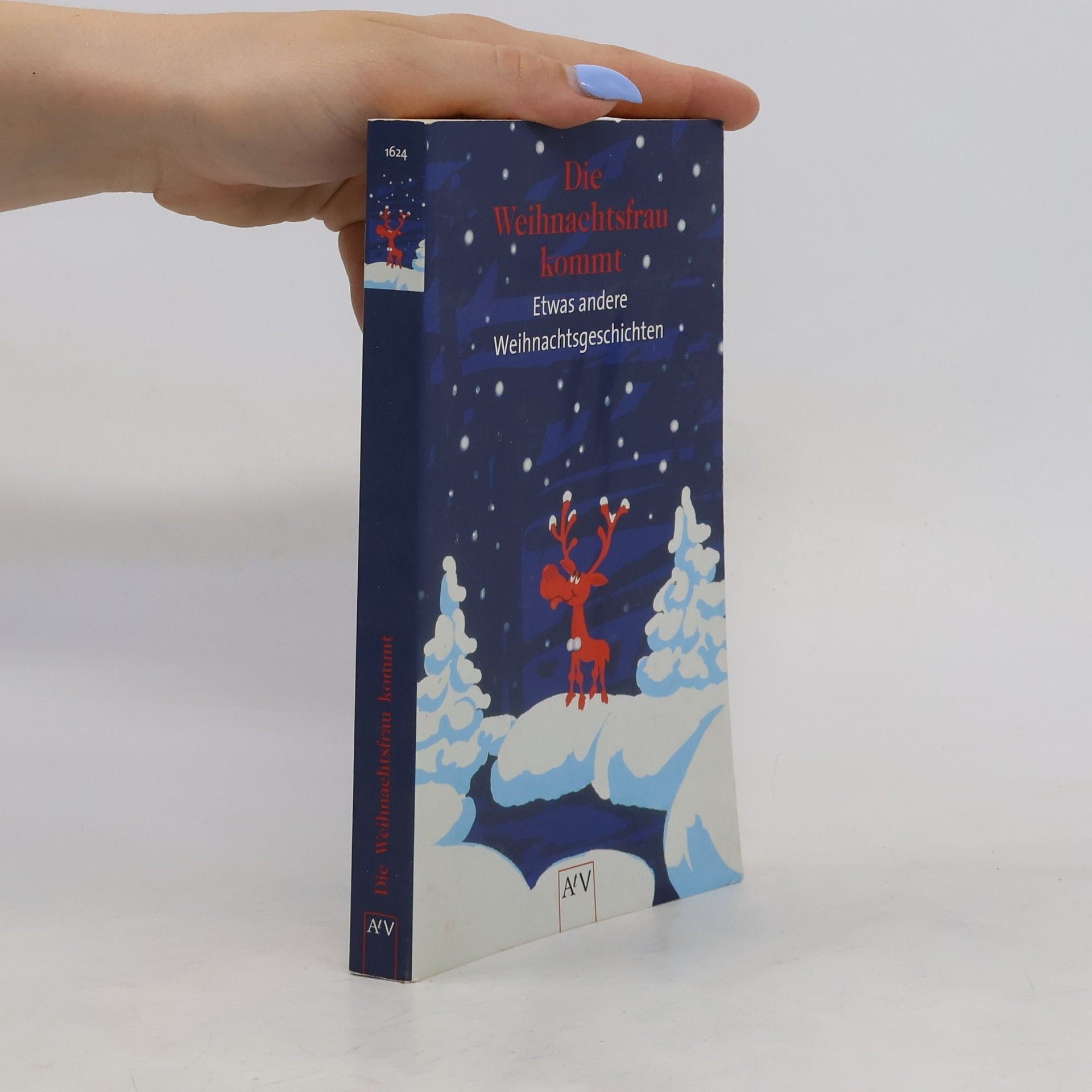 Michaela Rohn Die Weihnachtsfrau kommt