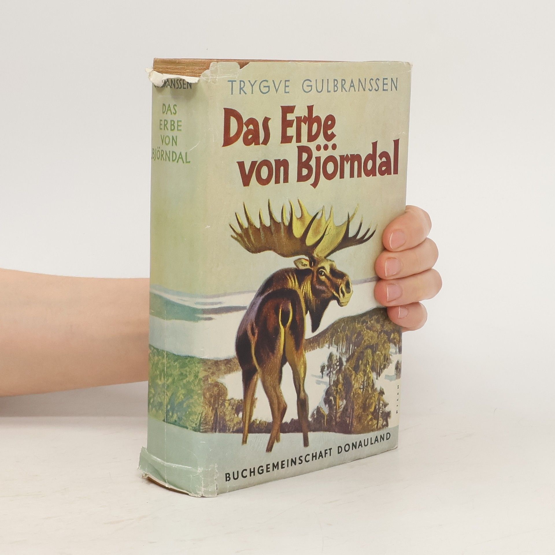 Trygve Gulbranssen Das Erbe von Björndal