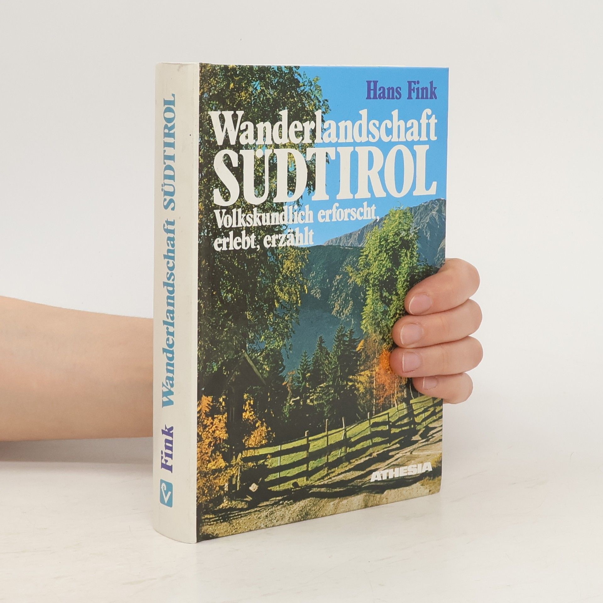 Hans Fink Wanderlandschaft Südtirol