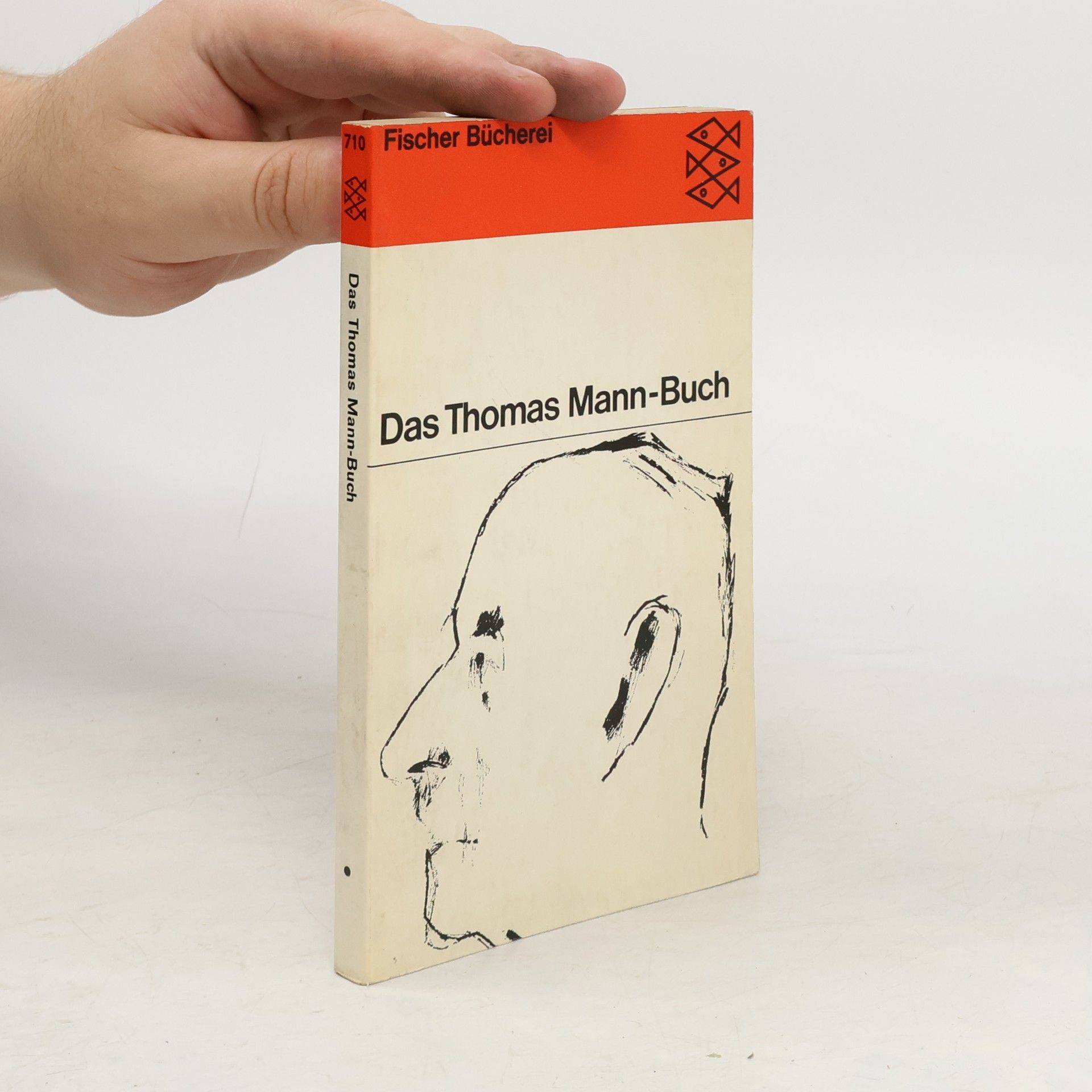 Autorenkollektiv Das Thomas Mann-Buch