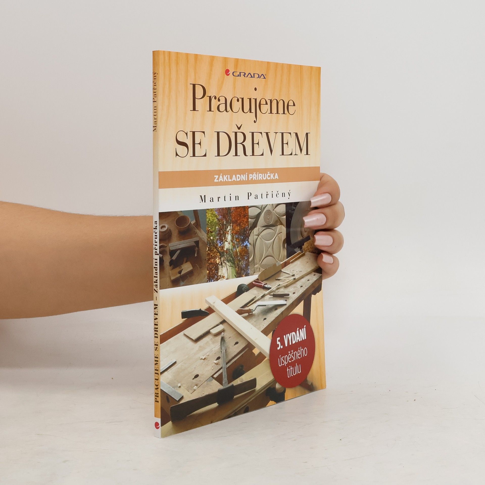 Martin Patřičný Pracujeme se dřevem. Základní příručka