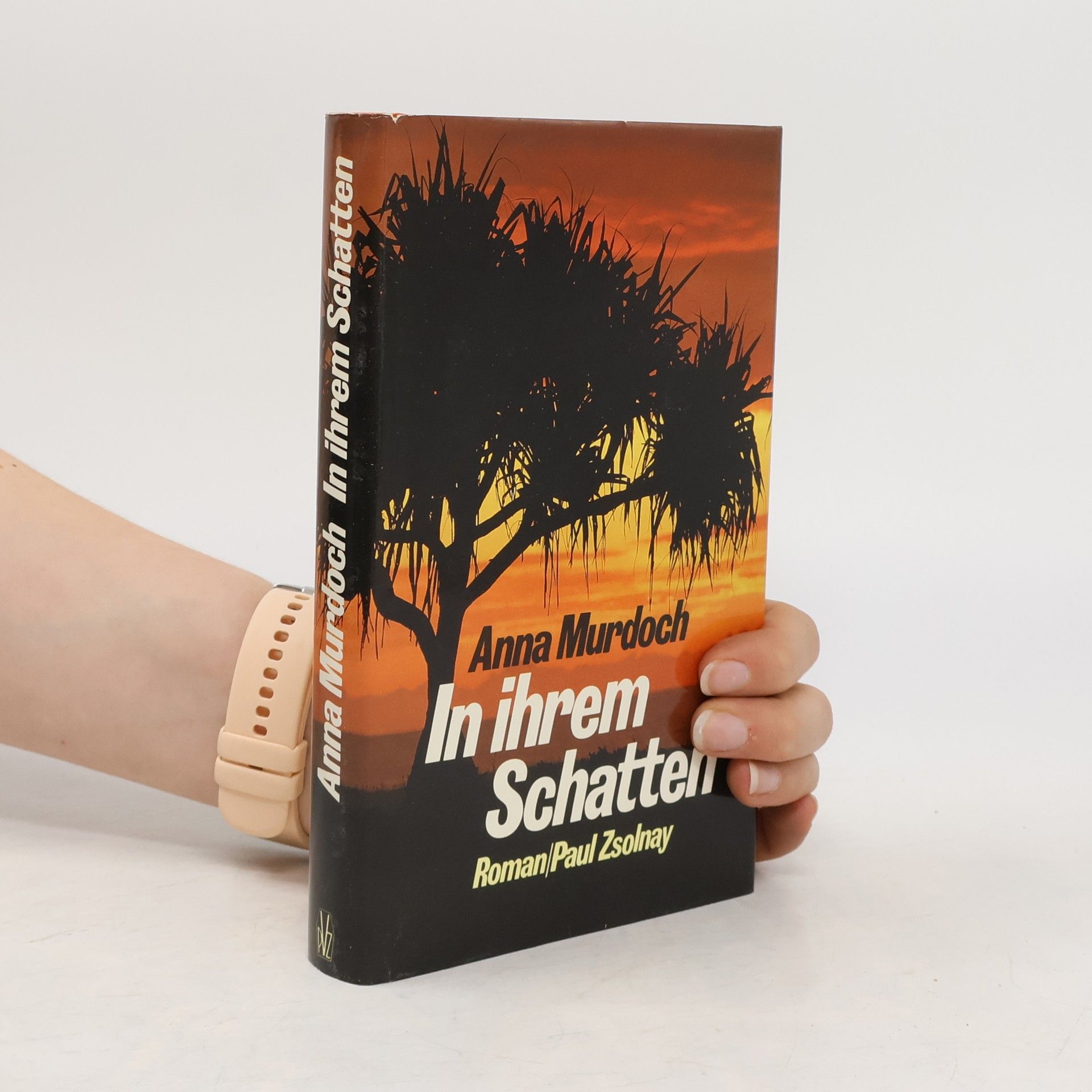 Anna Gmeyner In ihrem Schatten