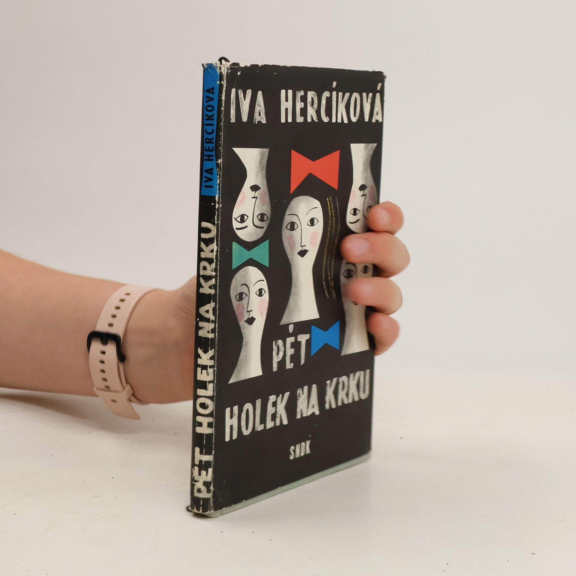 Iva Hercíková Pět holek na krku