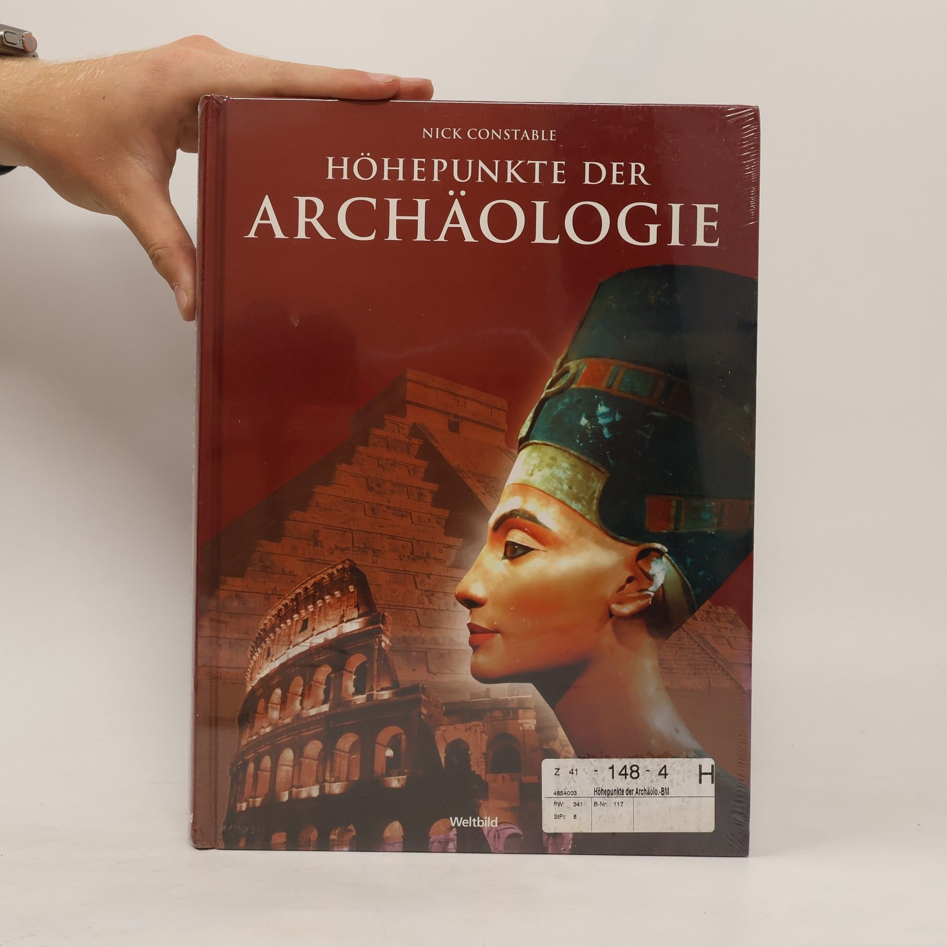 Nick Constable Höhepunkte der Archäologie