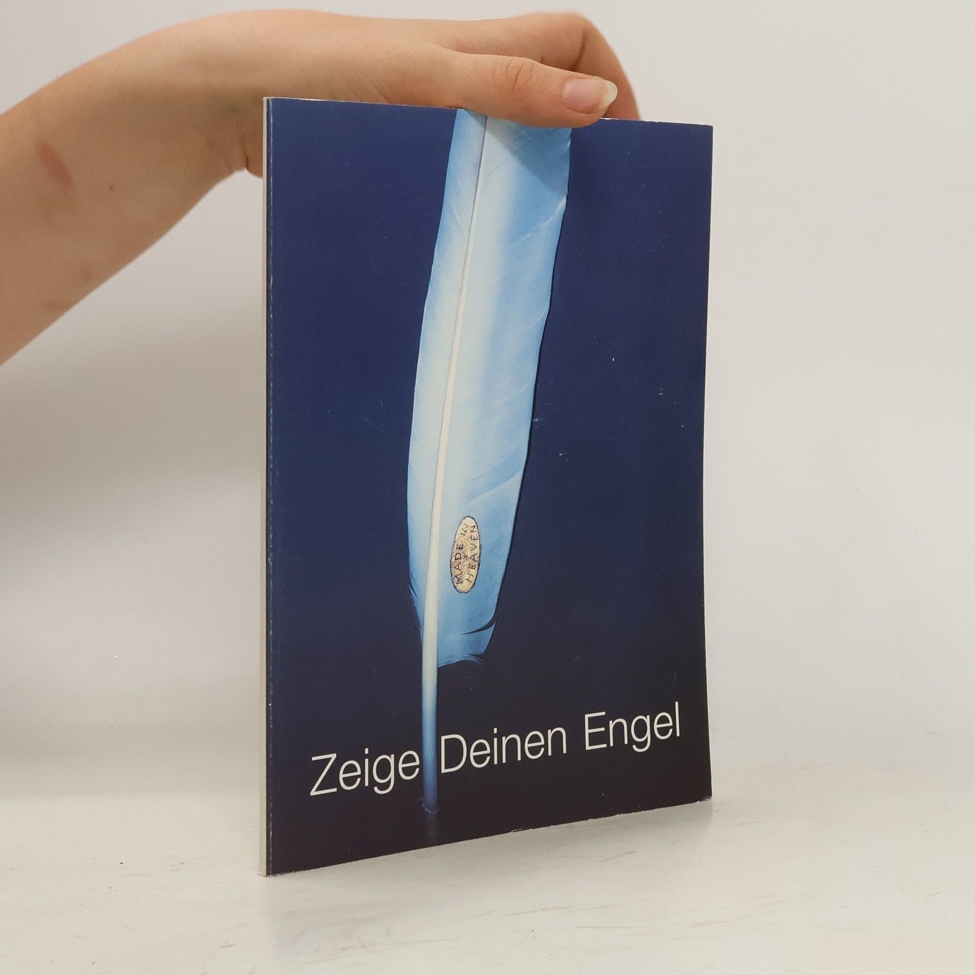 Autorenkollektiv Zeige Deinen Engel