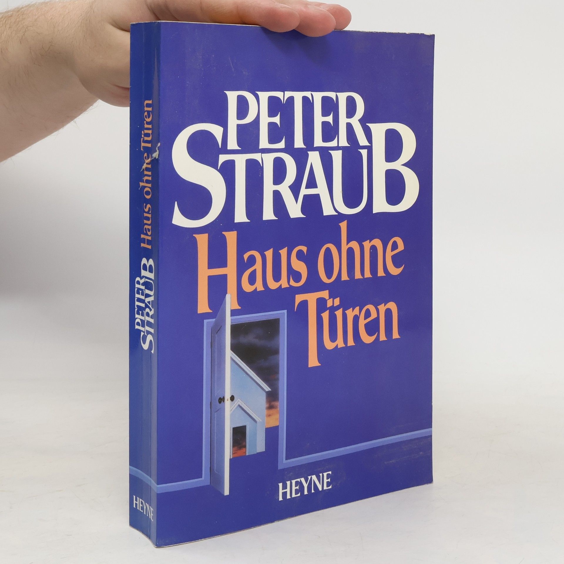 Peter Straub Haus ohne Türen