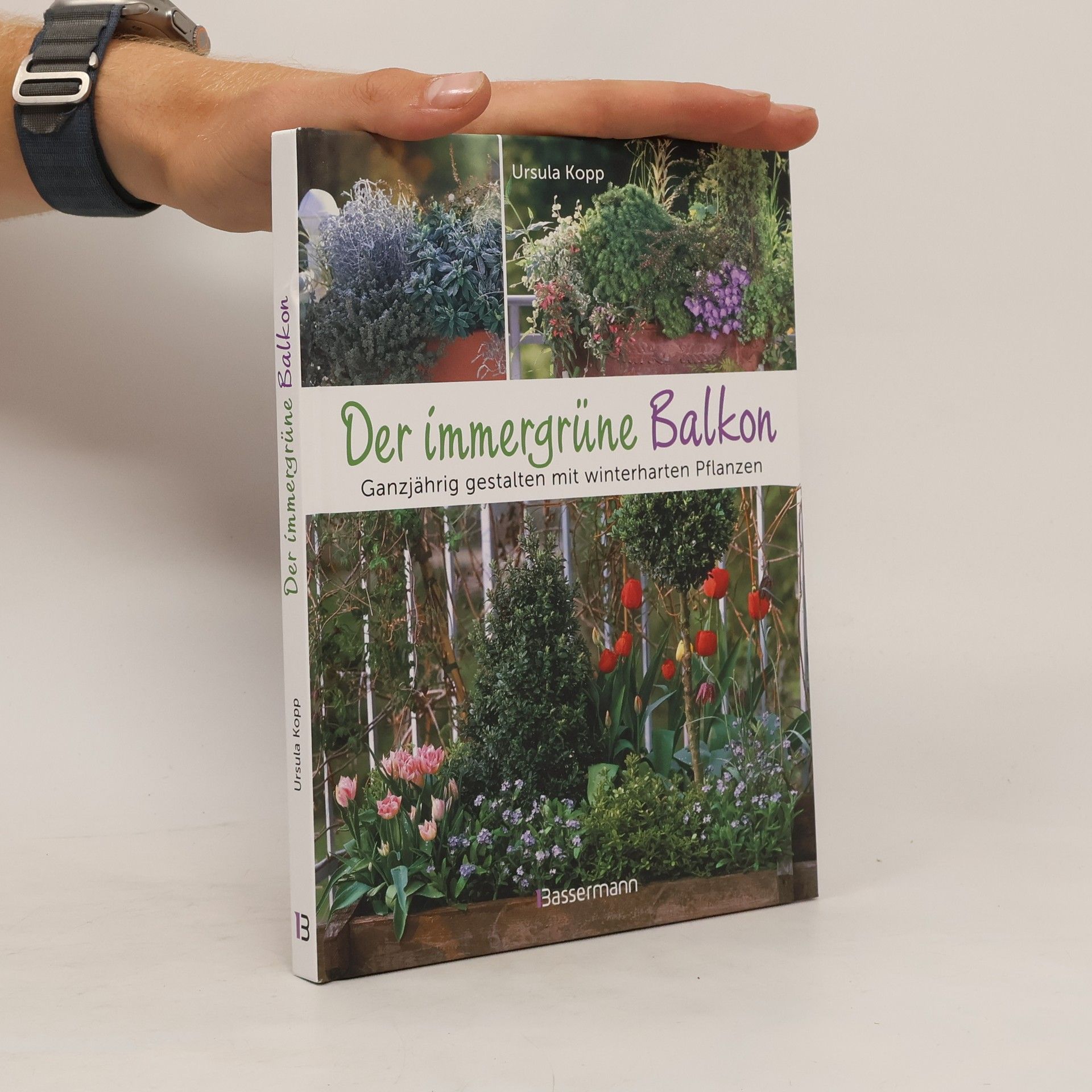 Ursula Kopp Der immergrüne Balkon. Ganzjährig gestalten mit winterharten Pflanzen
