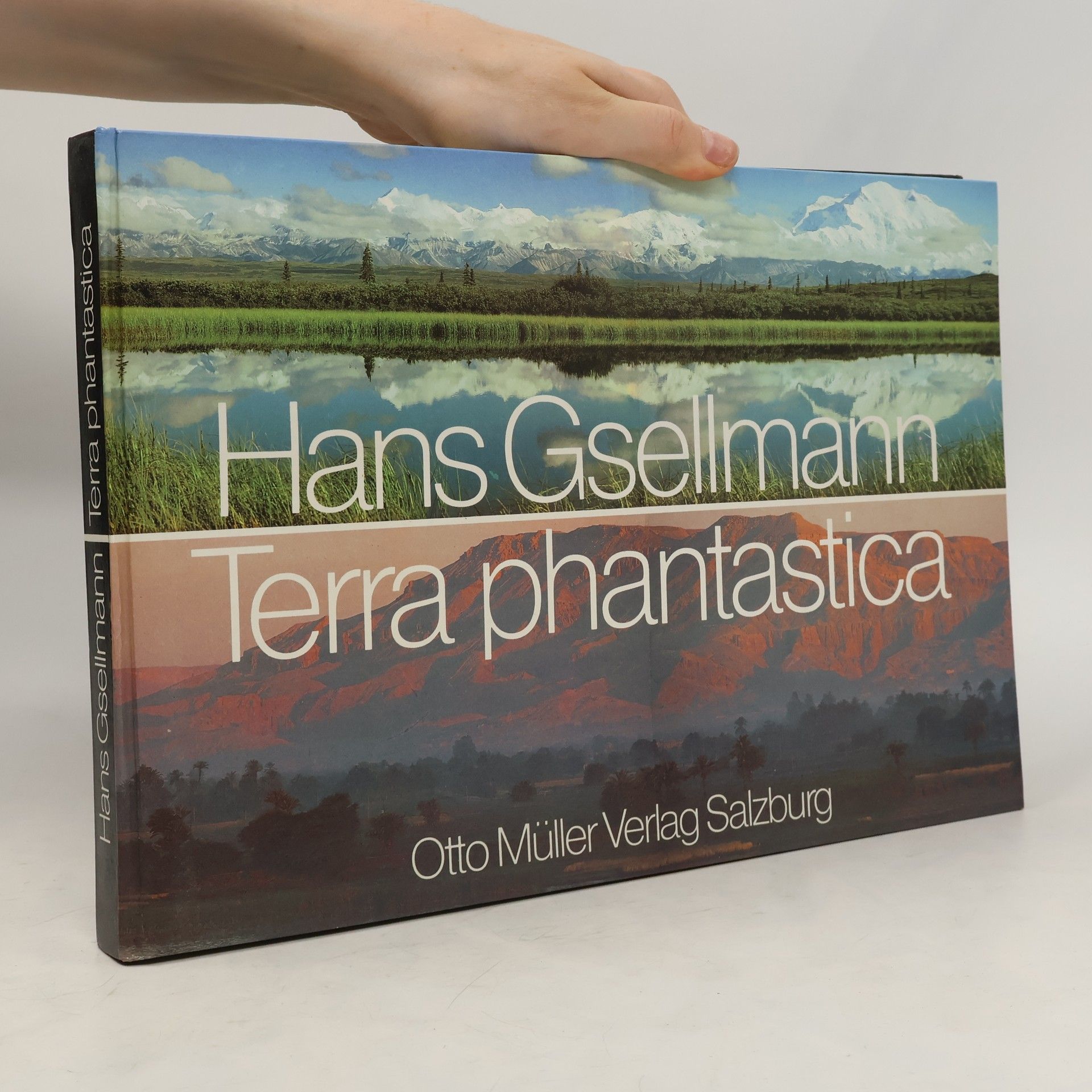 Hans Gsellmann Terra phantastica
