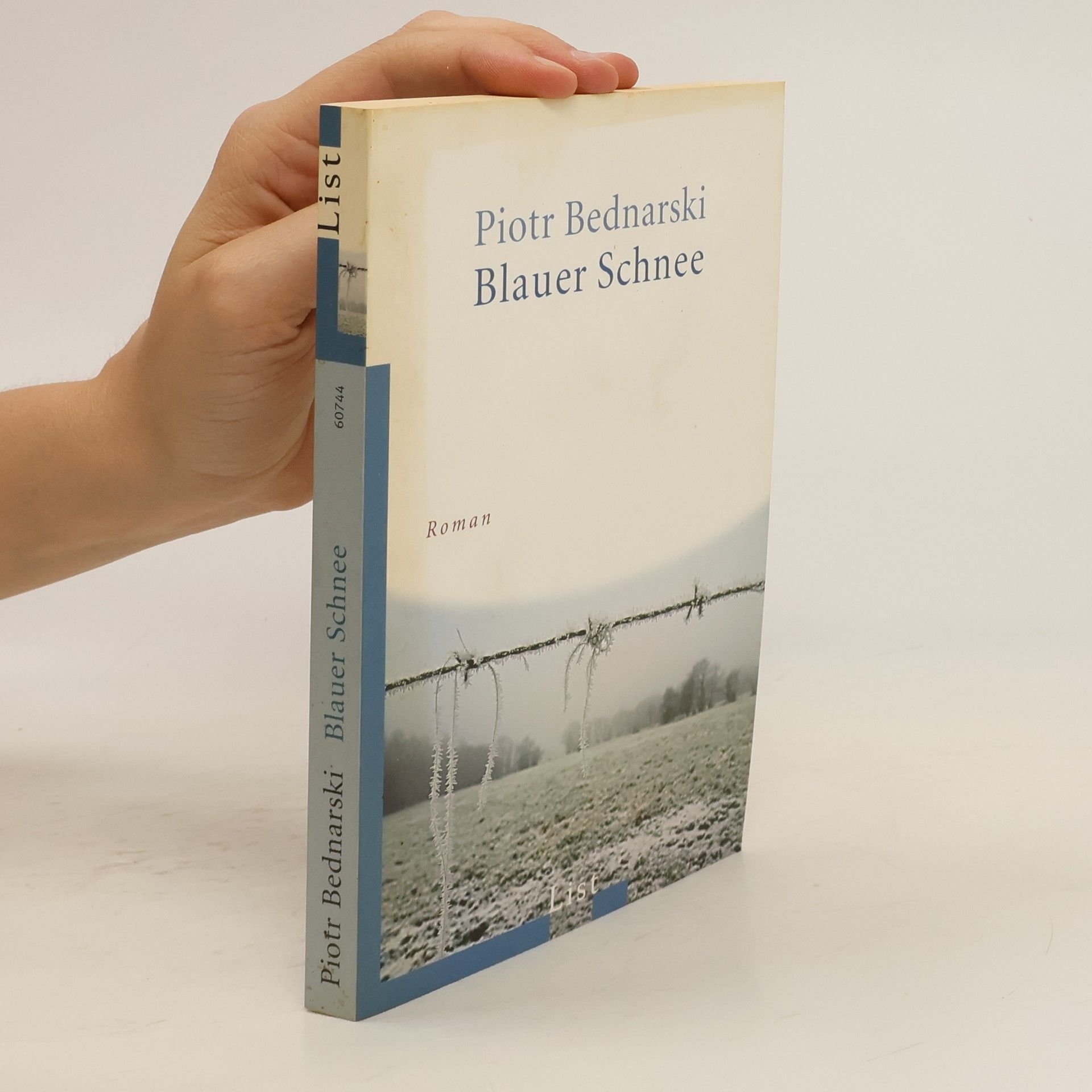 Piotr Bednarski Blauer Schnee