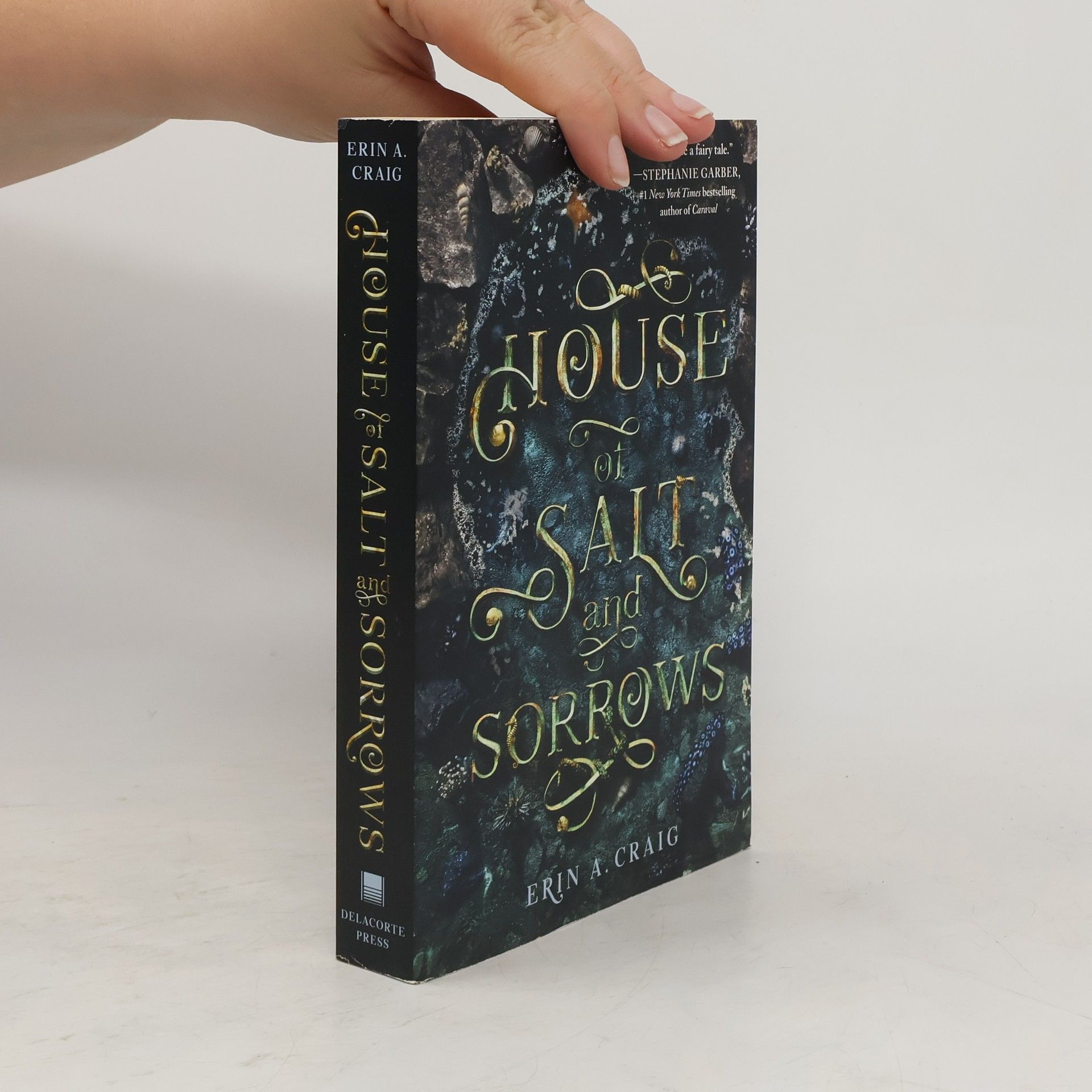 Erin A. Craig House of salt and sorrows