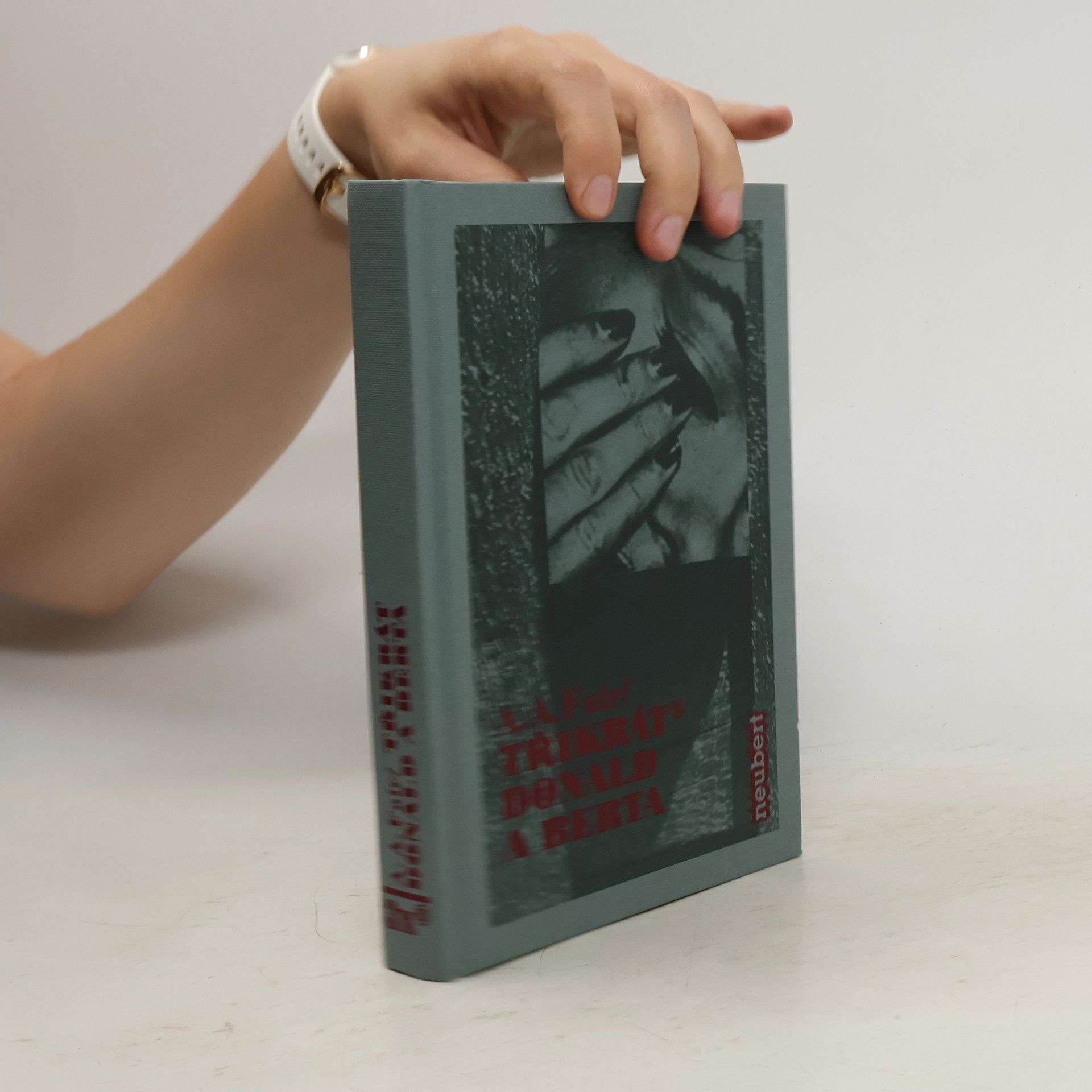 Erle Stanley Gardner Třikrát Donald a Berta