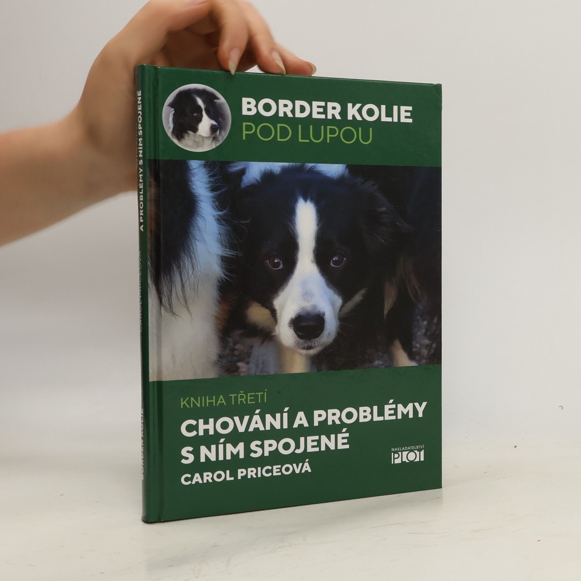Carol Price Chování a problémy s ním spojené
