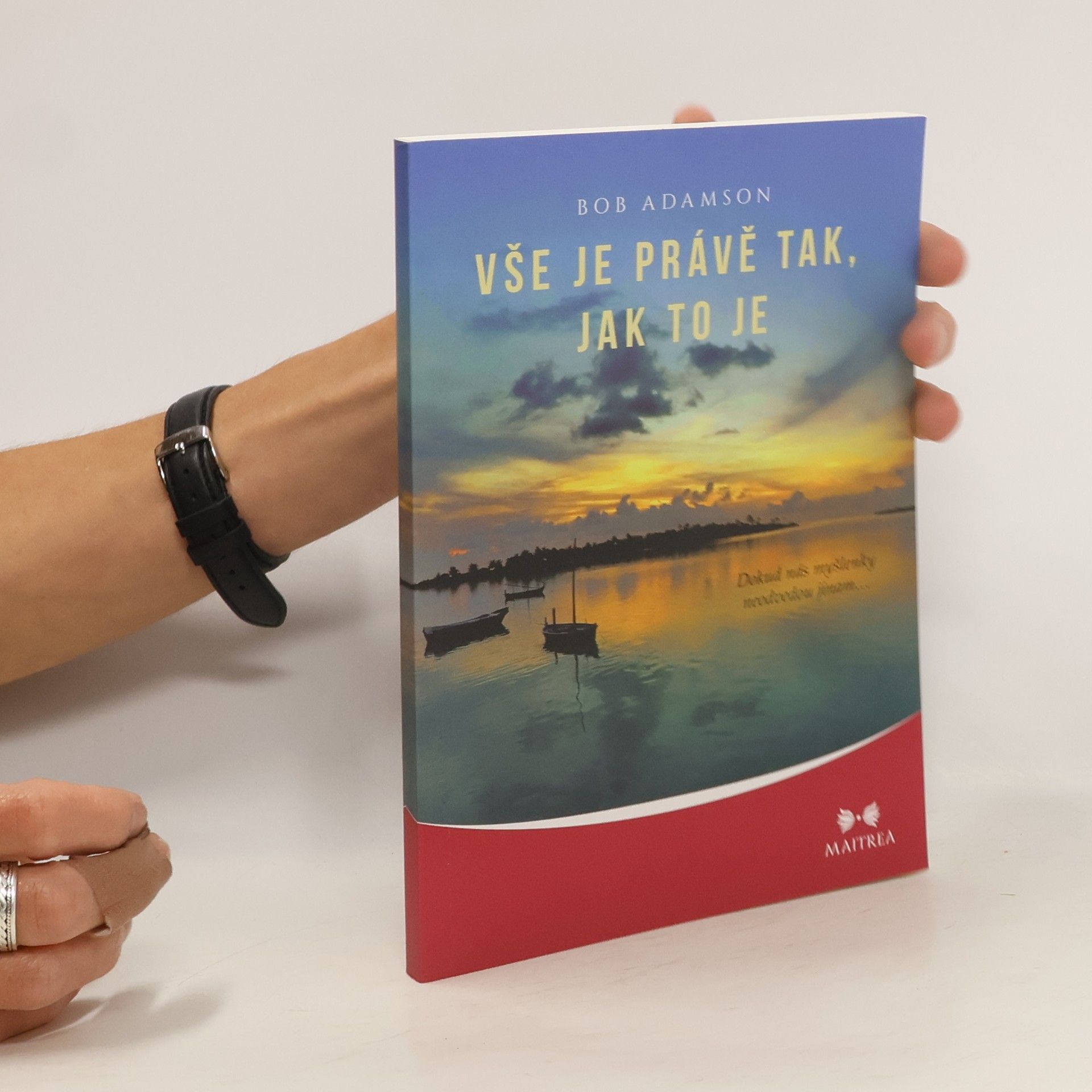 Bob Adamson Vše je právě tak, jak to je: Dokud nás myšlenky neodvedou jinam…