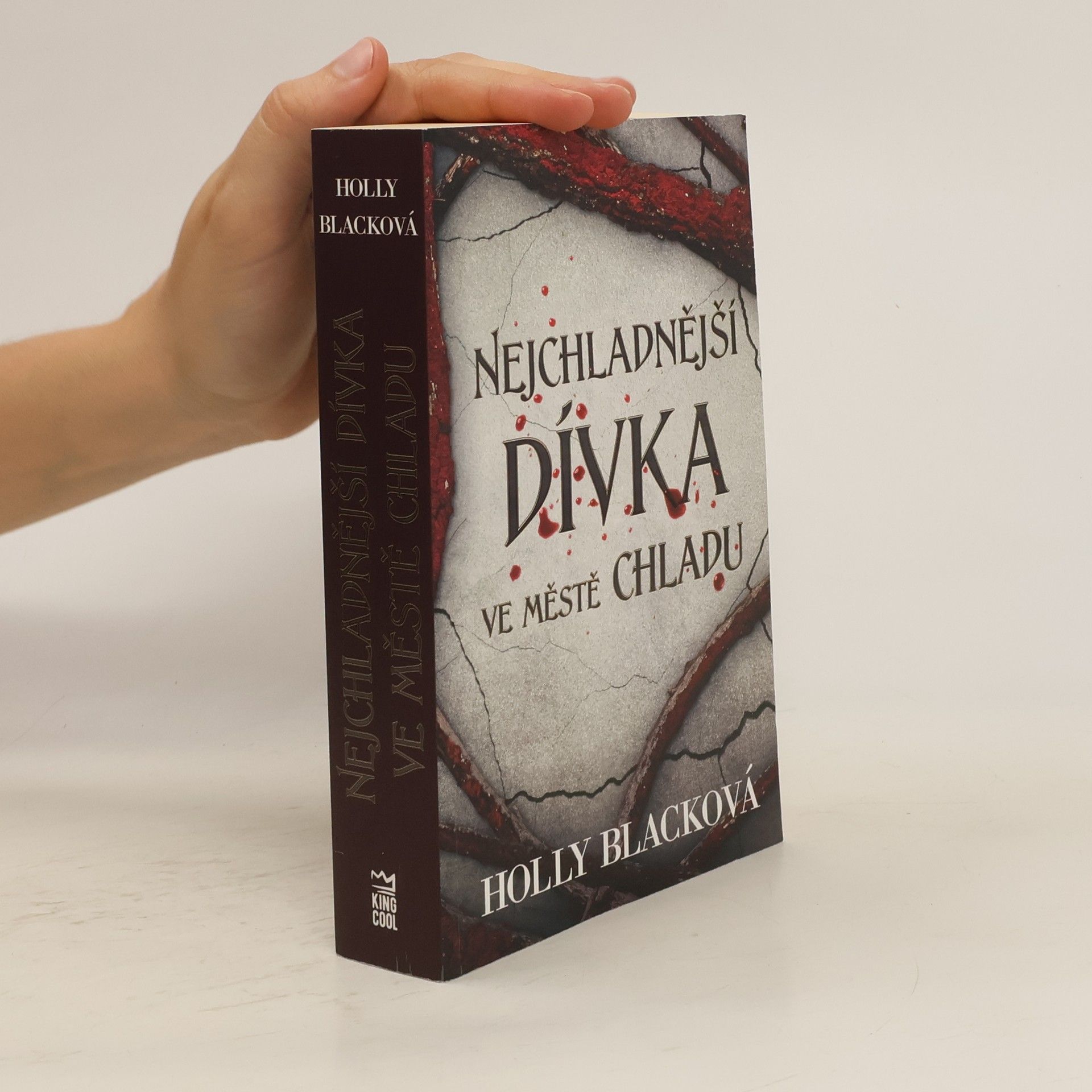 Holly Black Nejchladnější dívka ve městě chladu