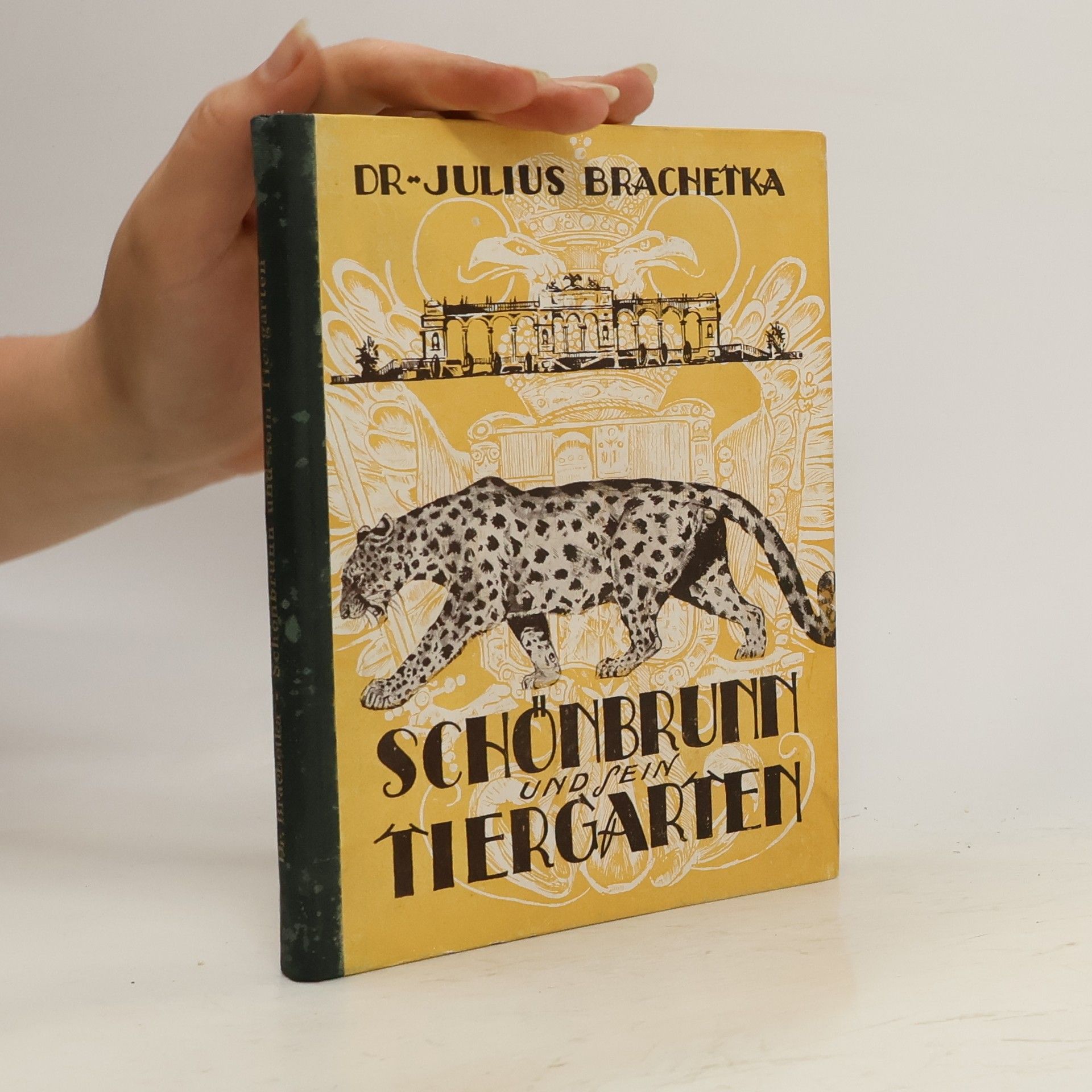 Julius Brachetka Schönbrunn und sein Tiergarten