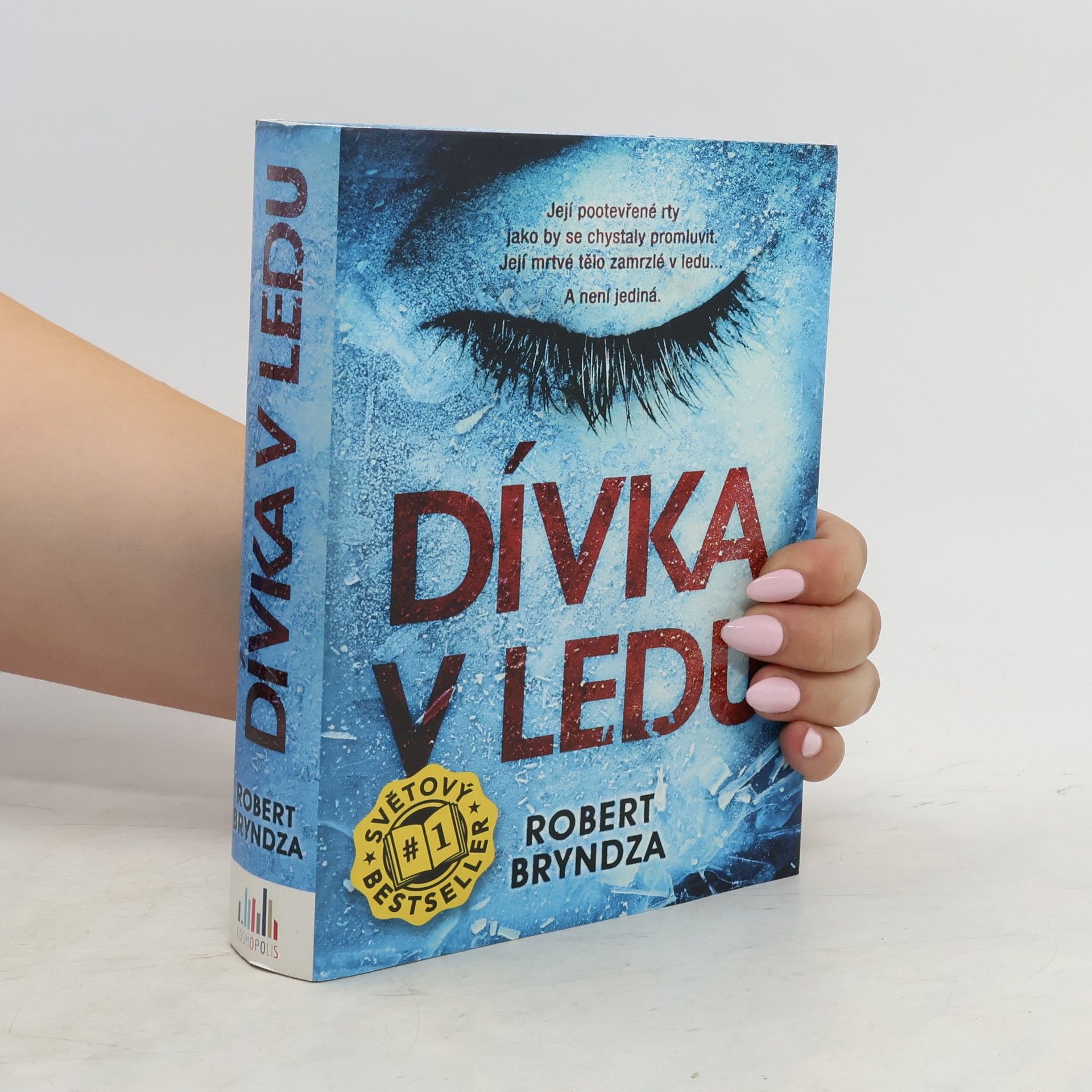 Robert Bryndza Dívka v ledu