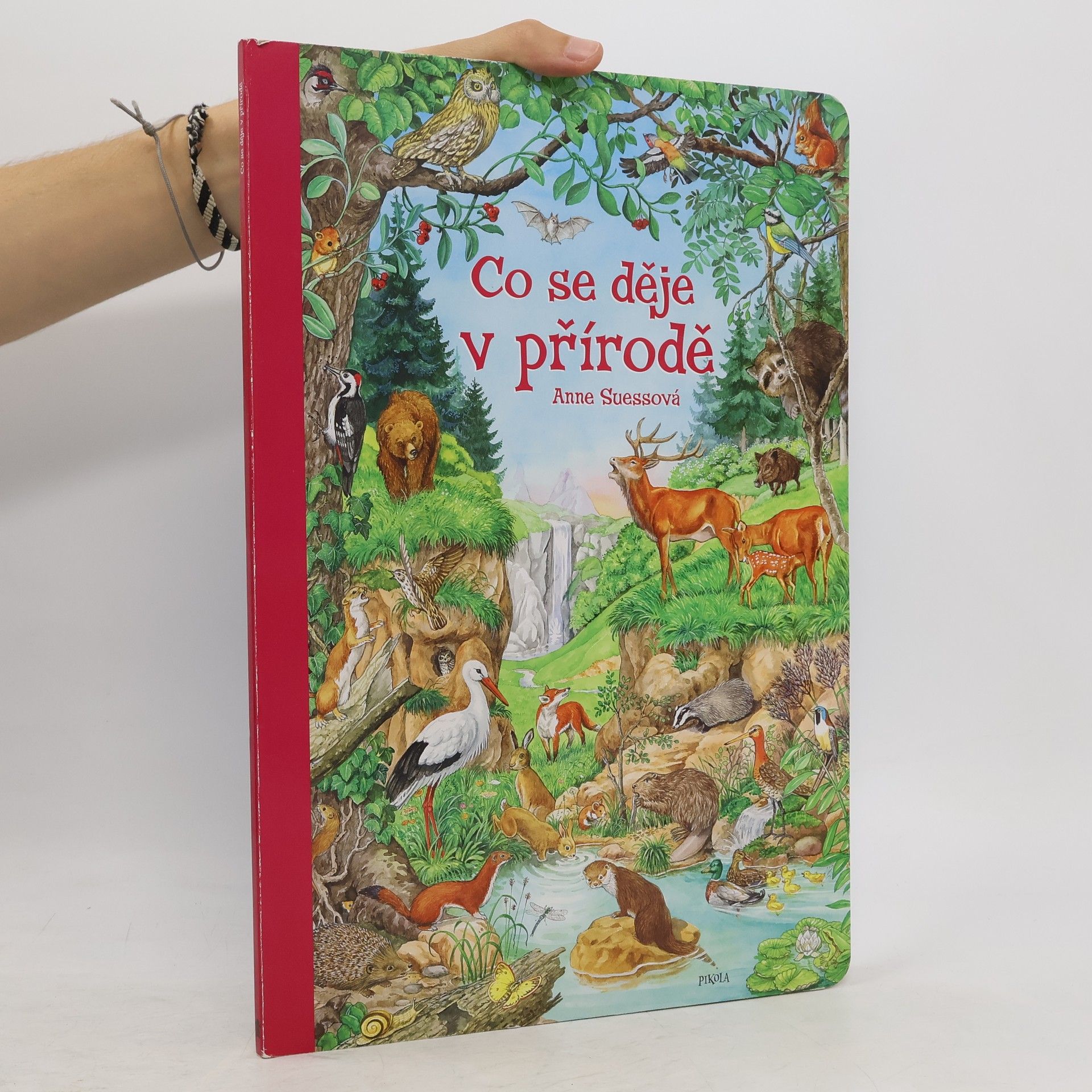 Anne Suess Co se děje v přírodě