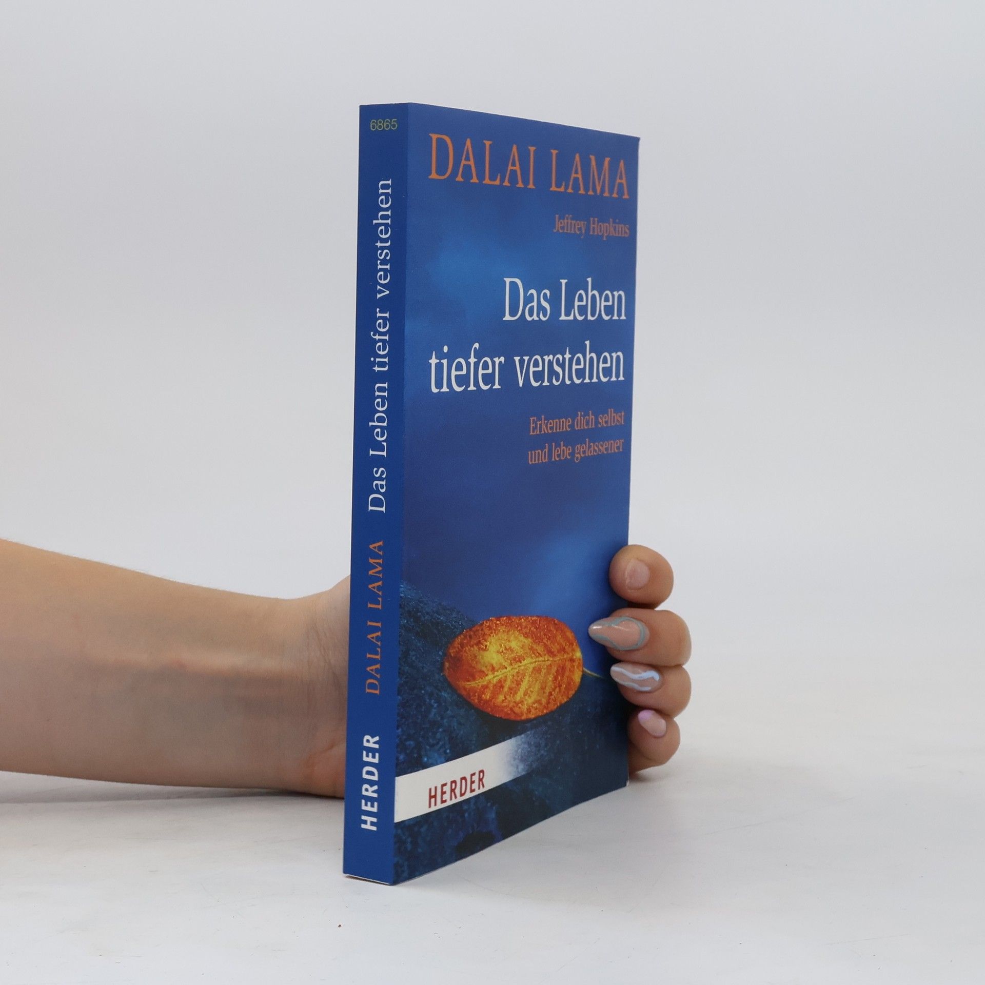 Dalai Lama XIV. Das Leben tiefer verstehen