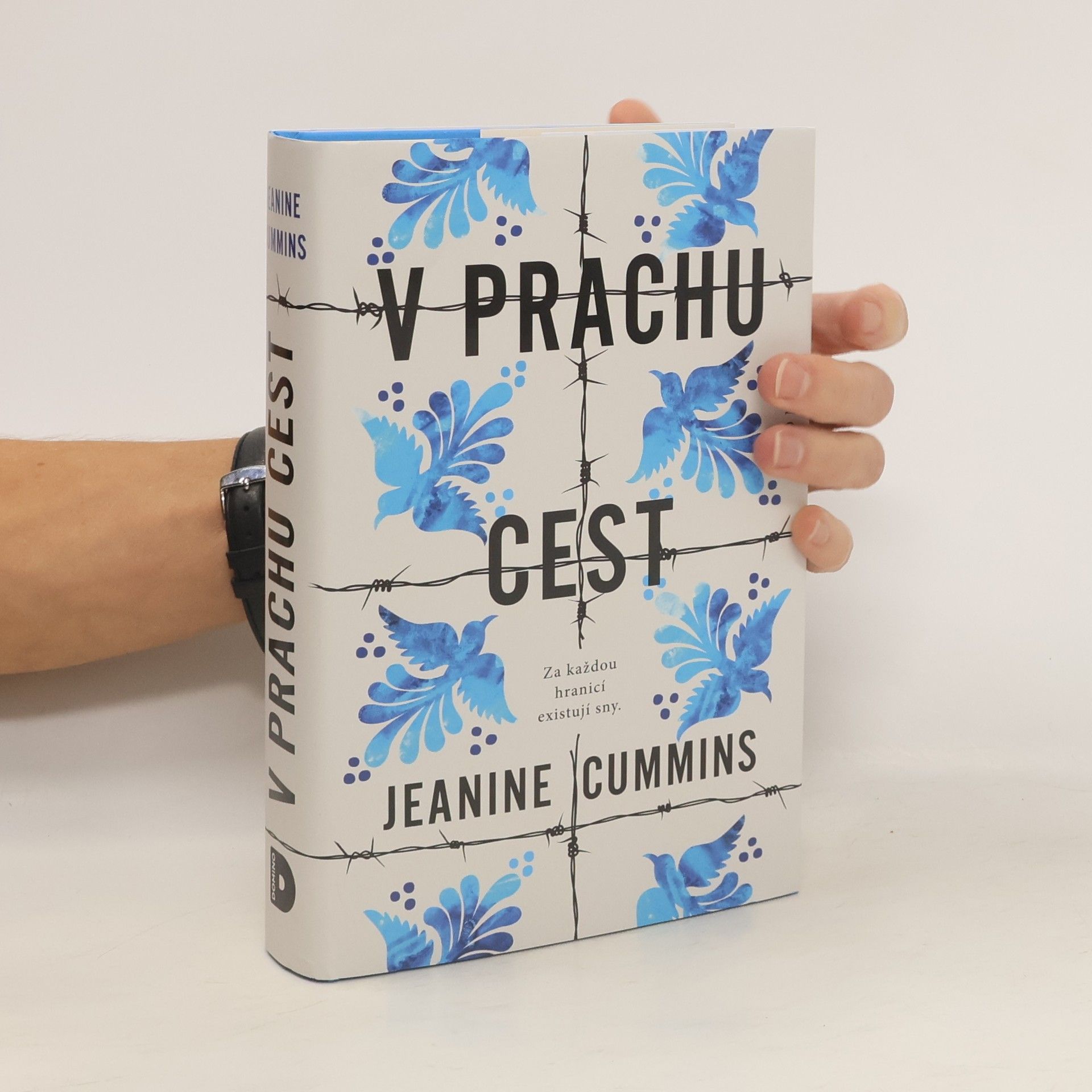 Jeanine Cummins V prachu cest