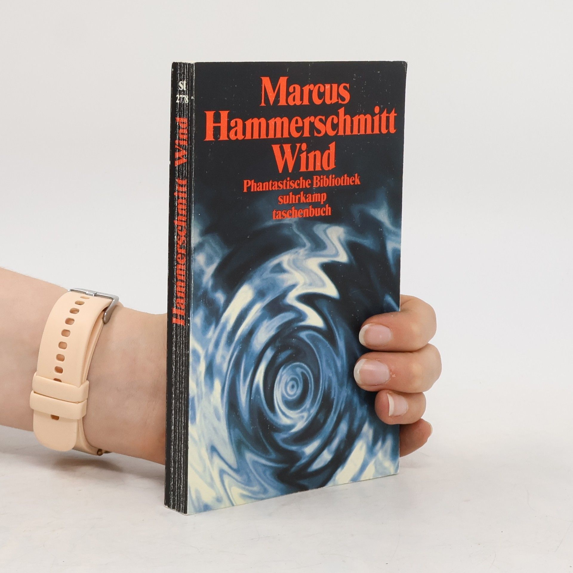 Marcus Hammerschmitt Wind. Zwei Romane