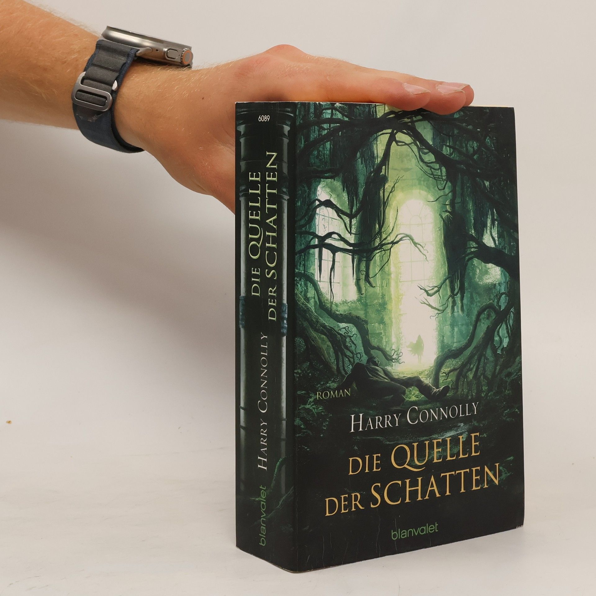 Harry Connolly Die Quelle der Schatten