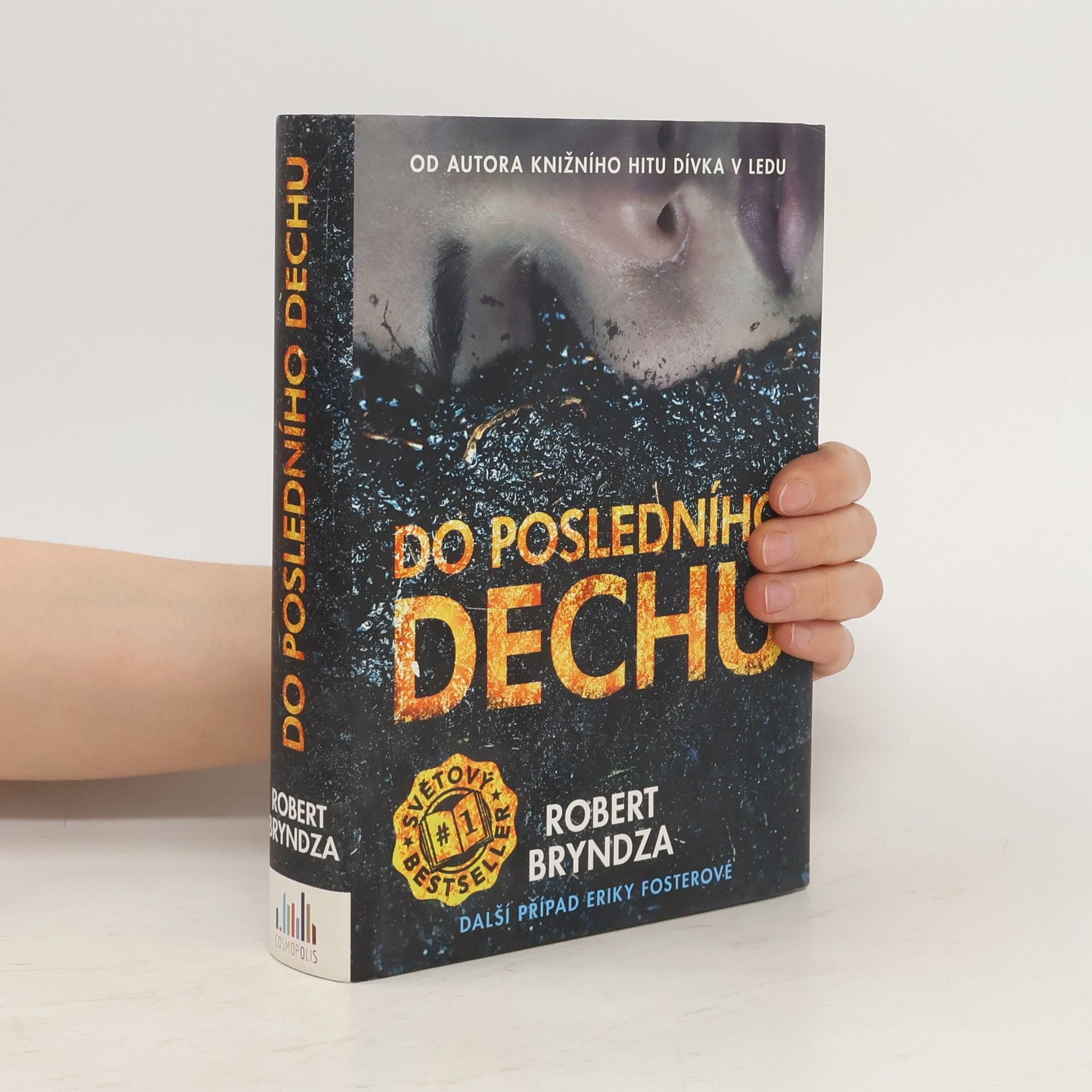 Robert Bryndza Do posledního dechu. Další případ Eriky Fosterové