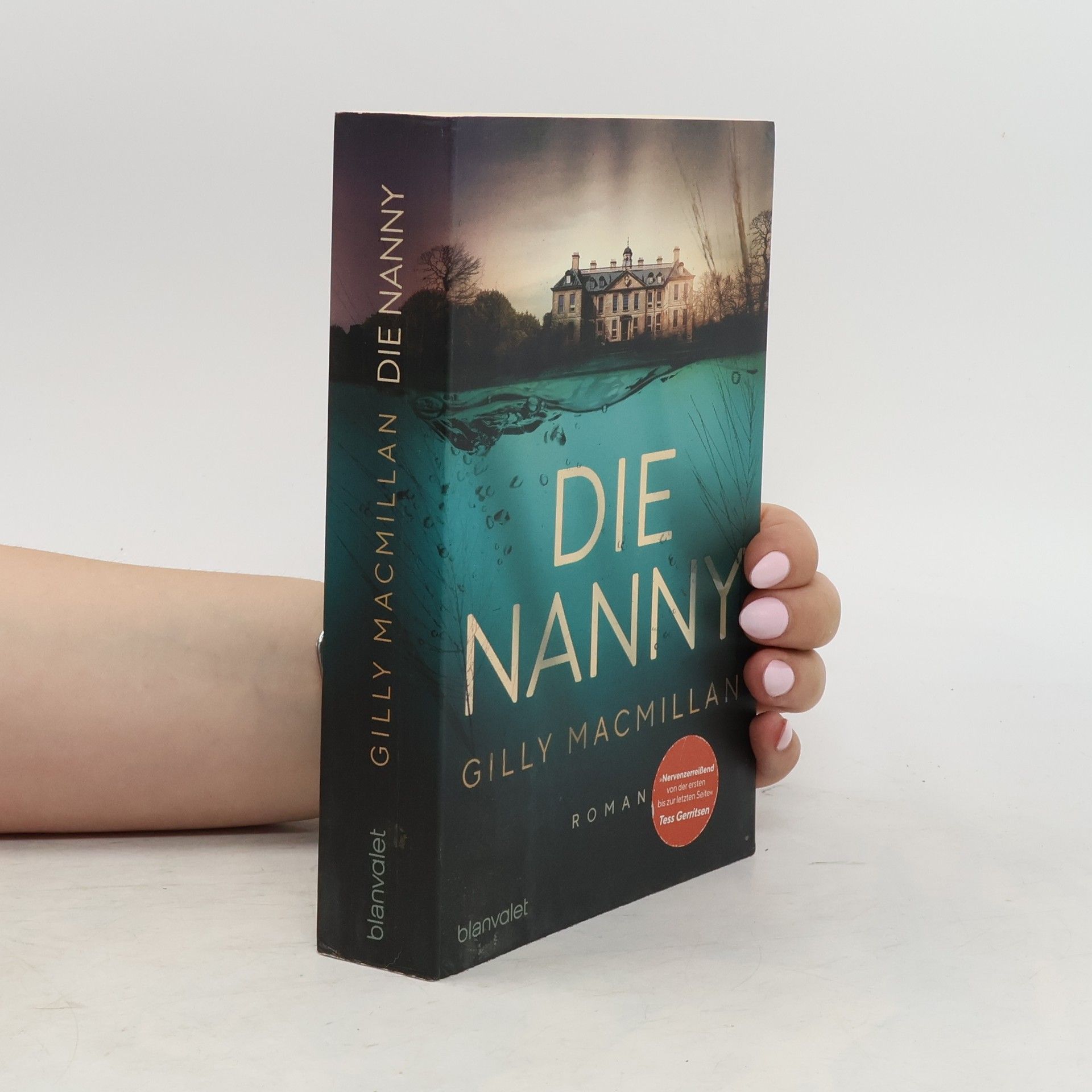Gilly Macmillan Die Nanny