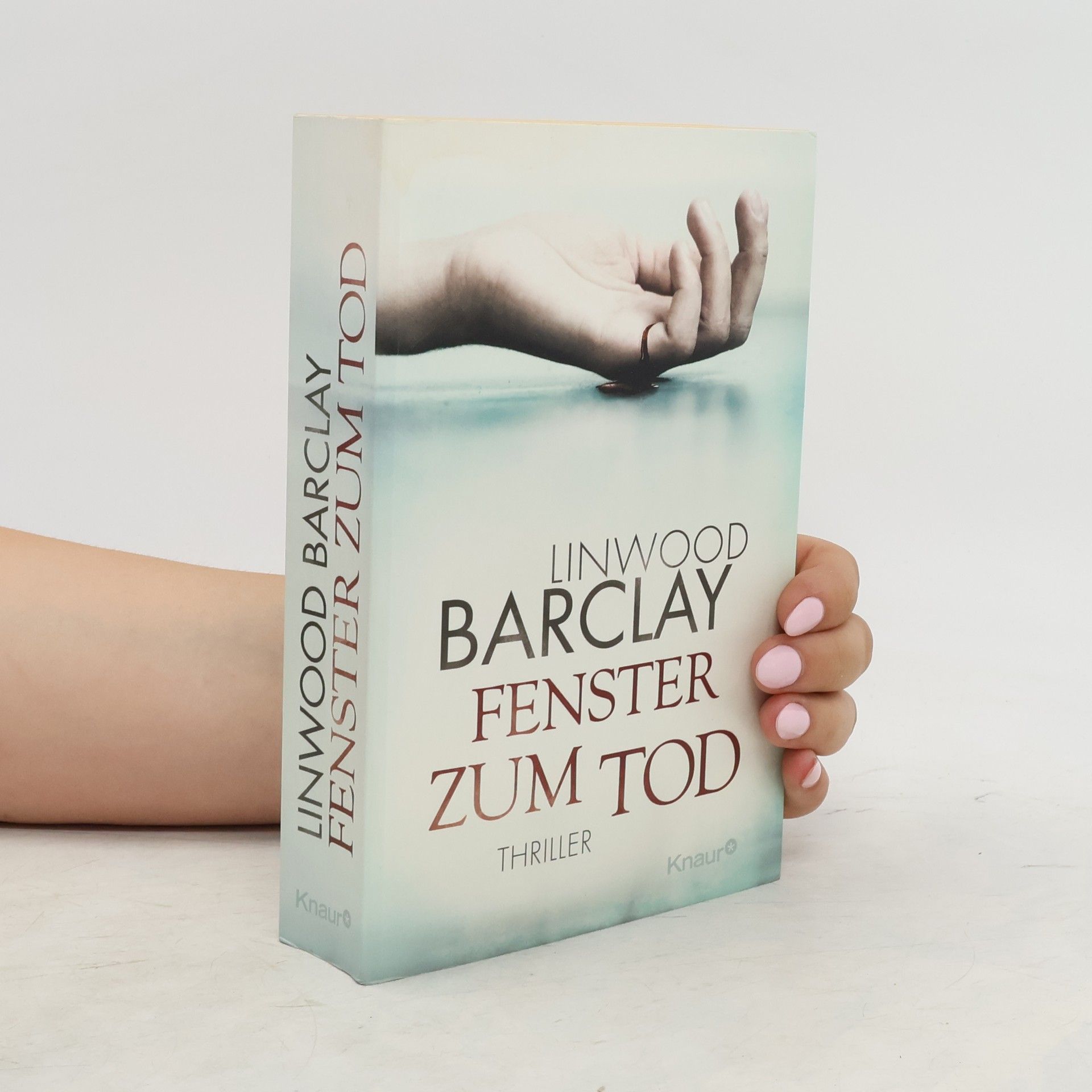 Linwood Barclay Fenster zum Tod