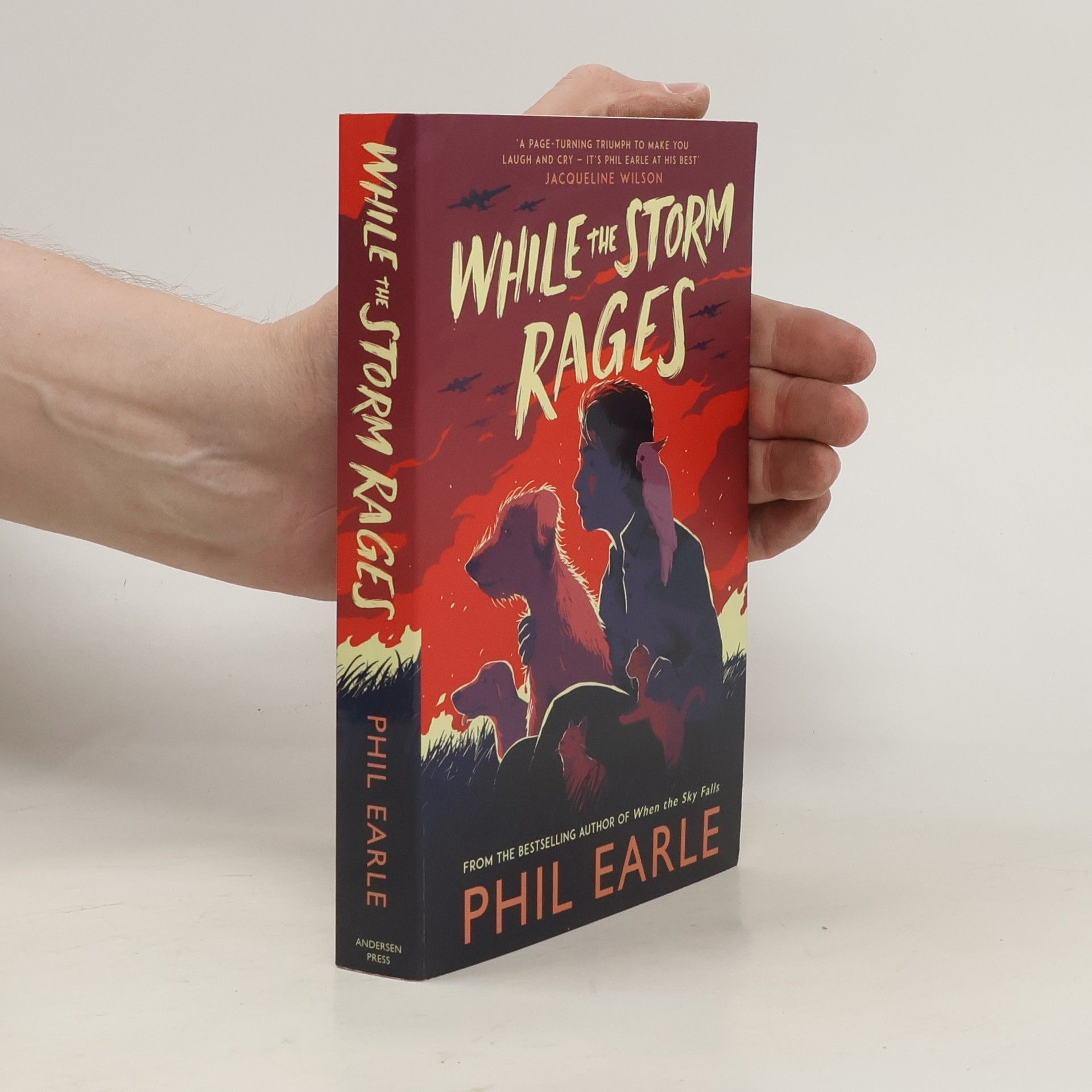Phil Earle While the Storm Rages