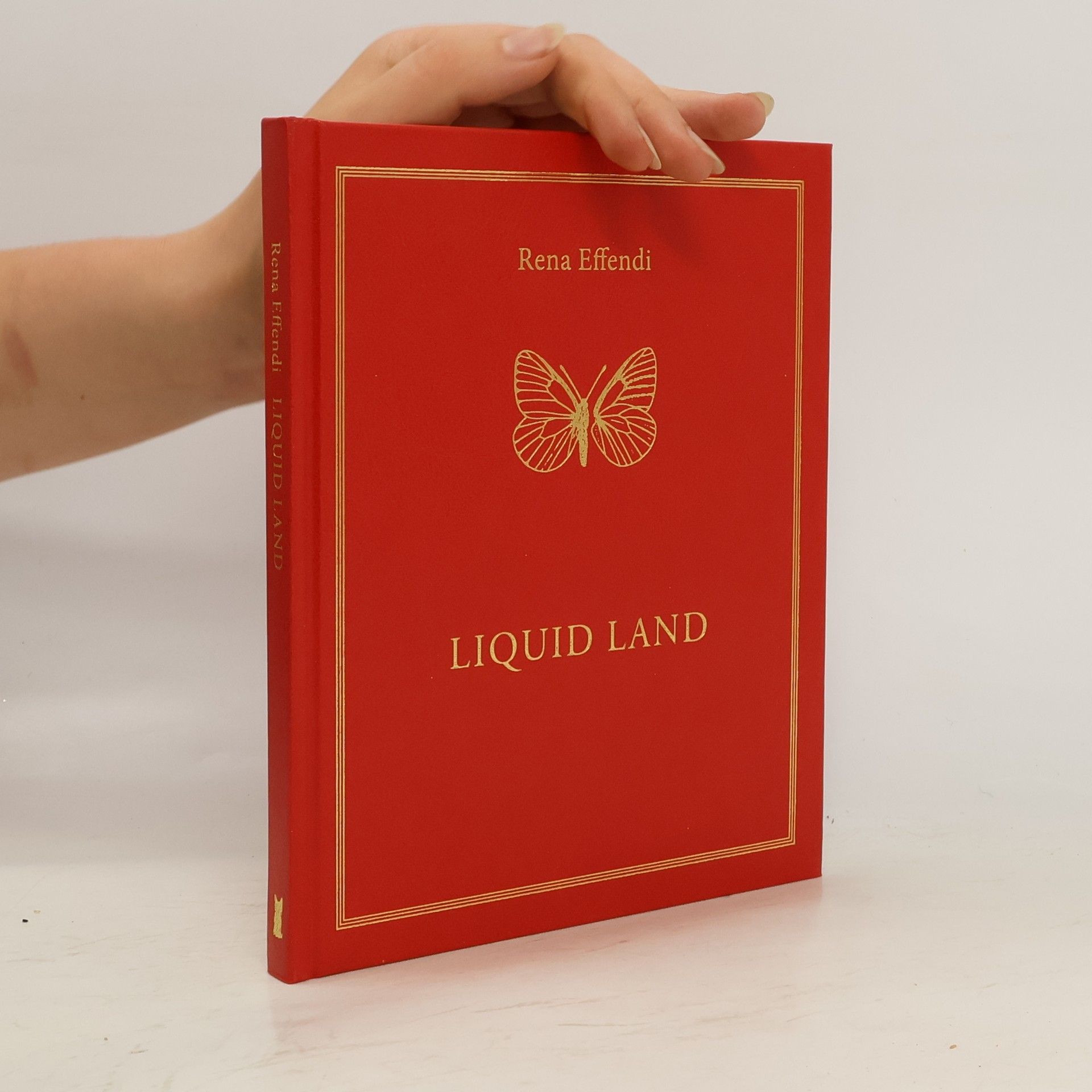 Rena Effendi Liquid Land