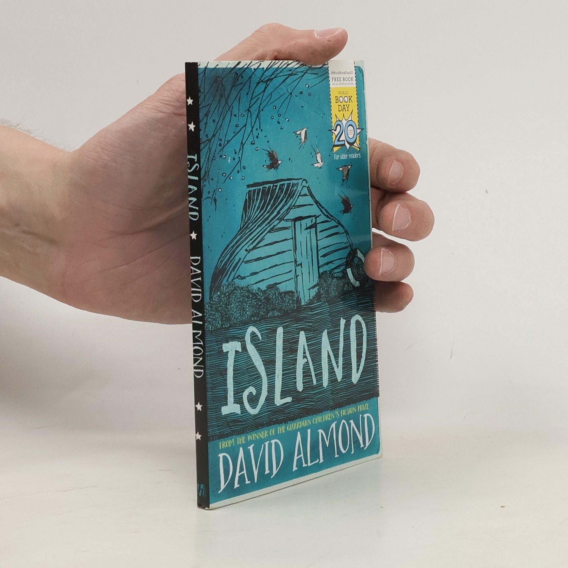 David Almond Island
