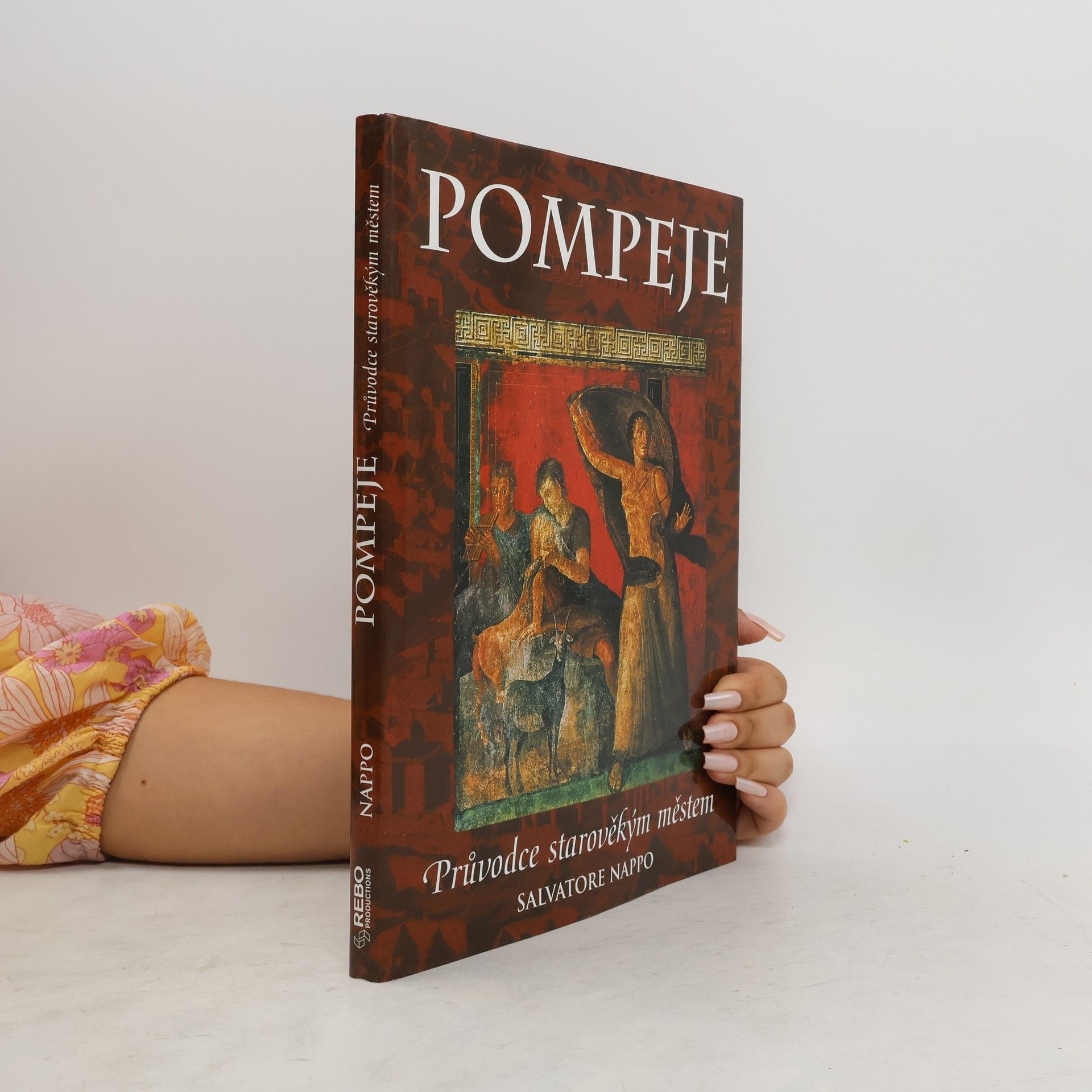 kolektiv Pompeje: Průvodce starověkým městem